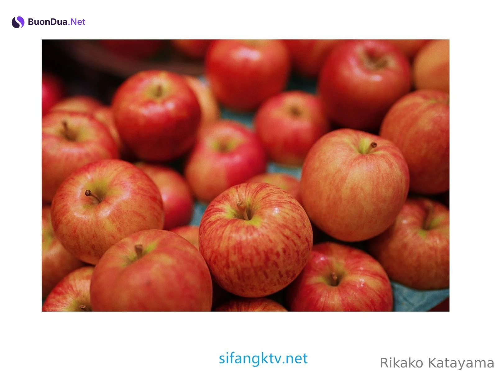 Rikako Katayama – OnlyFans 蜂腰大奶马甲线 甜心少妇性爱福利 优雅的气质甜美笑容让人沉醉 - 사진 38