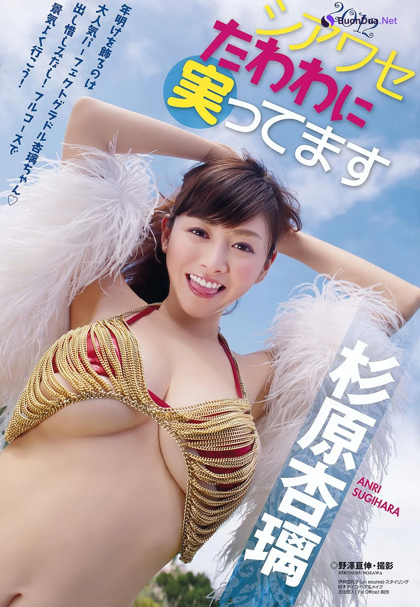 Rina Kato 加藤リナ, Young Animal Arashi 2012 No.02 (ヤングアニマル嵐 2012年2月号) - Photo 2