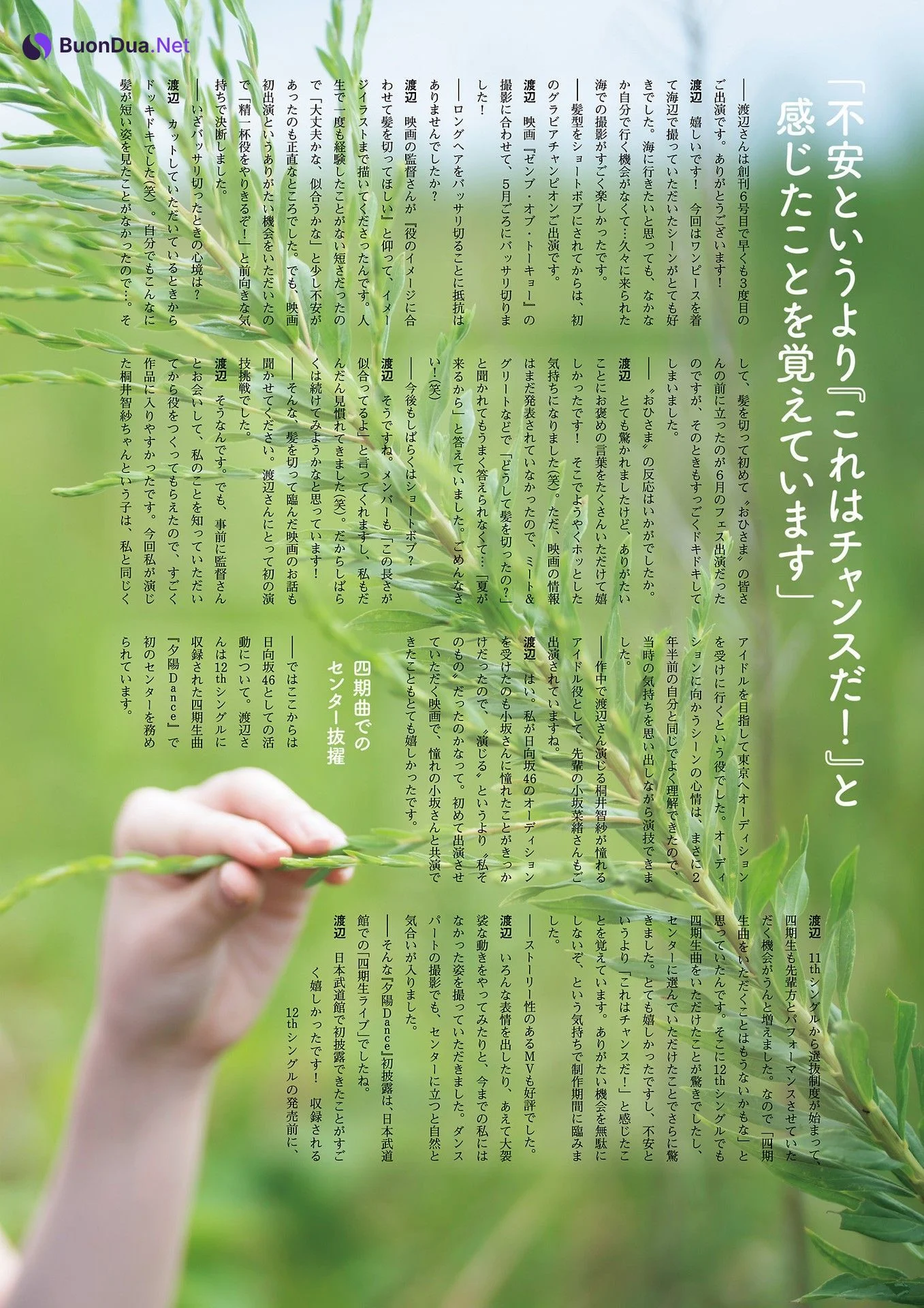 Rina Watanabe 渡辺莉奈, グラビアチャンピオン VOL.6 2024.10.13 - Photo 14