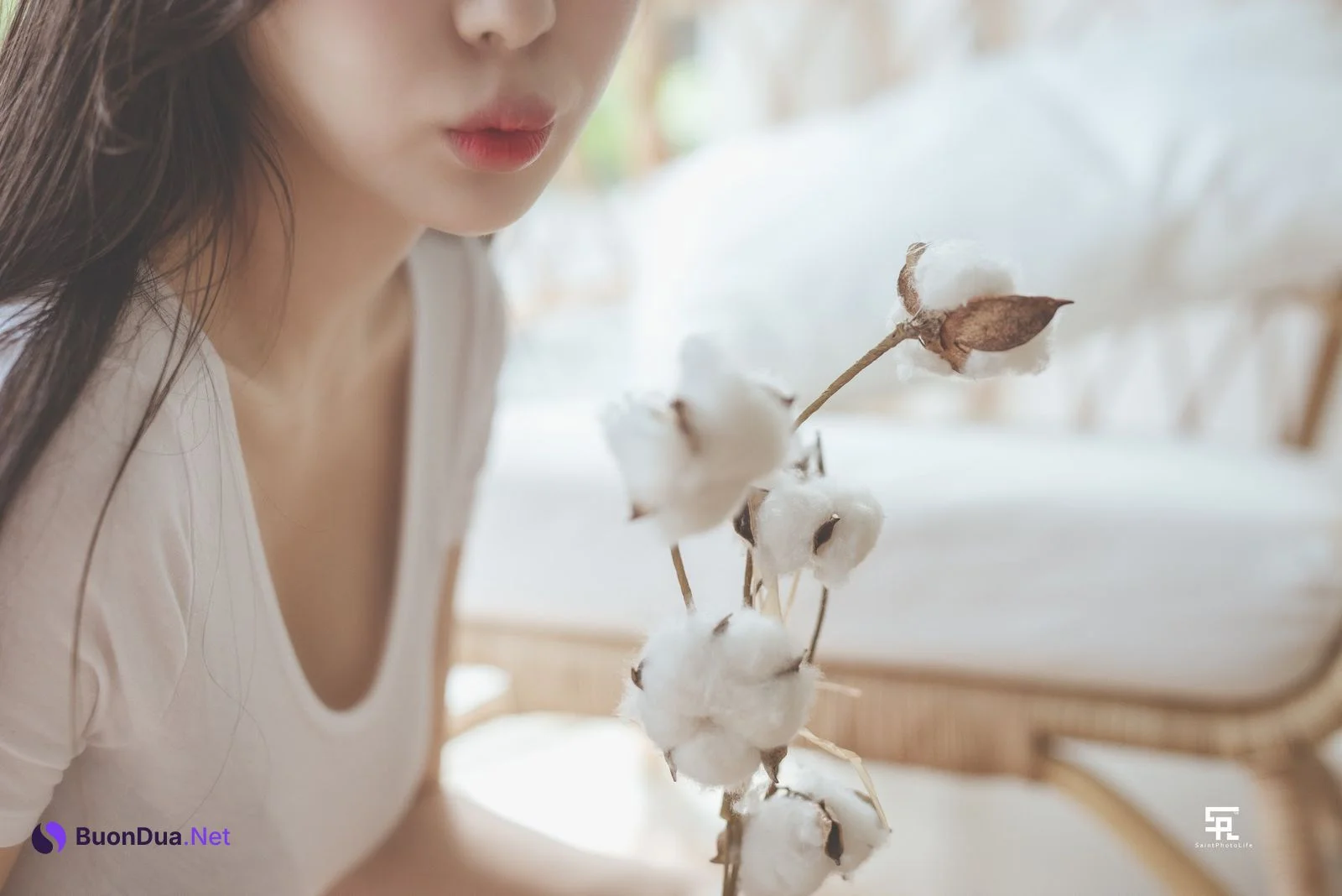SAINT Photolife – Zenny (신재은) – One Summer Day - Photo 5