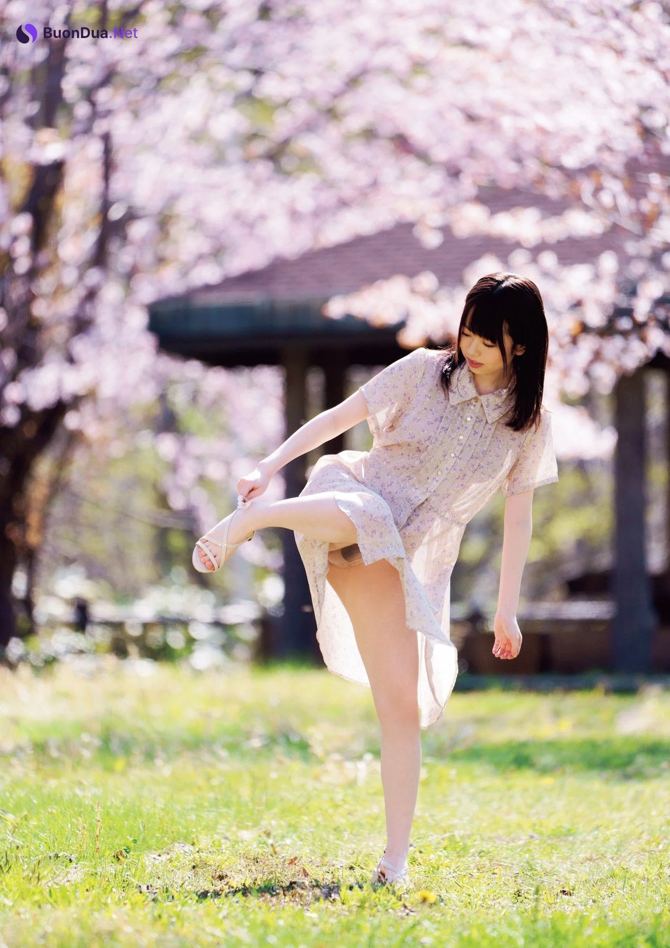 Sakura Miura 水トさくら, 写真集 「恍惚」 Set.03 - รูปภาพ 3