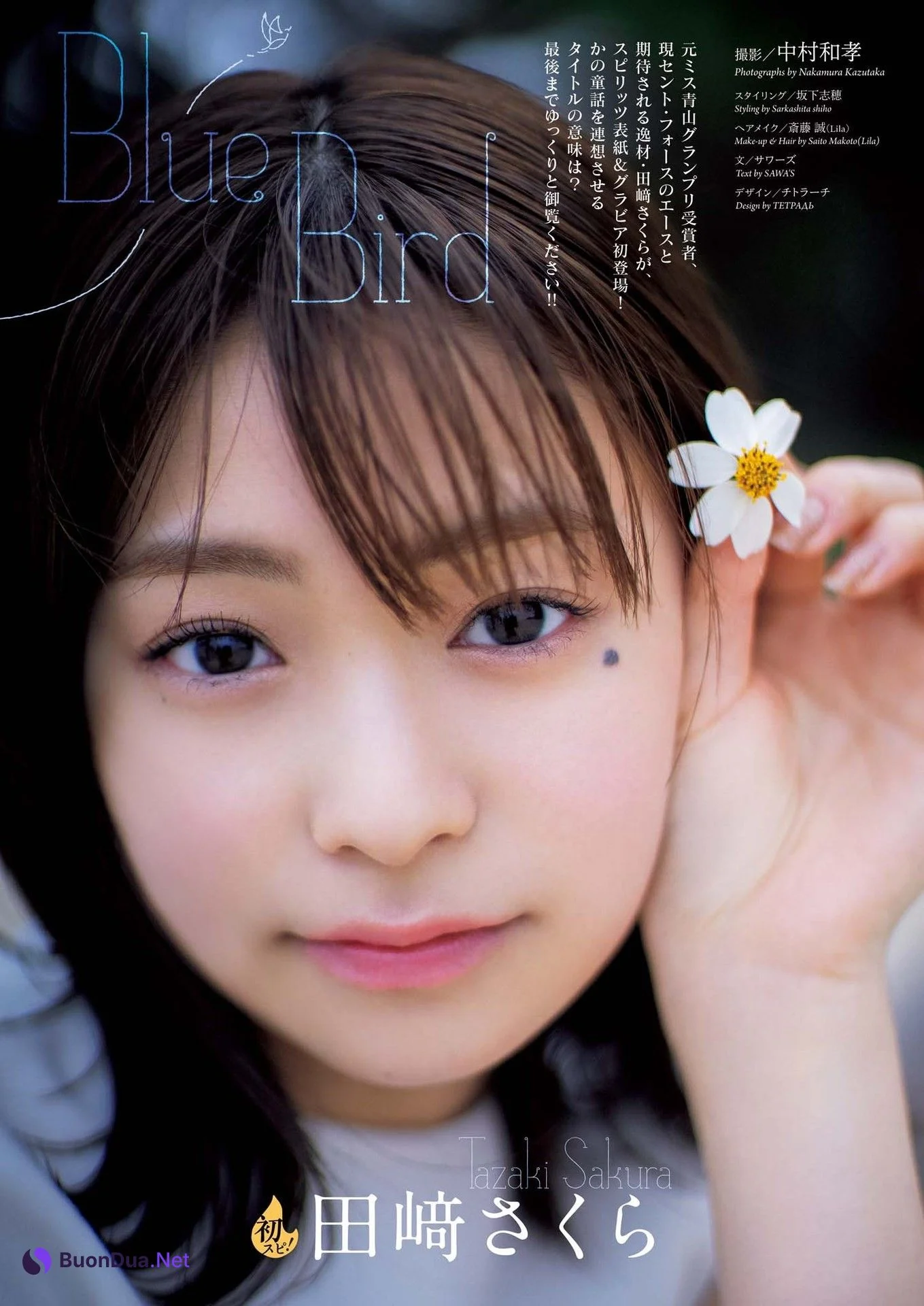 Sakura Tazaki 田﨑さくら, Big Comic Spirits 2023 No.46 (ビッグコミックスピリッツ 2023年46号) - Photo 2