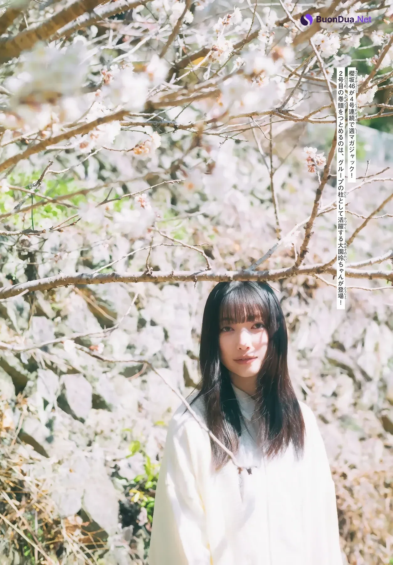 Sakurazaka46 櫻坂46, Shonen Magazine 2026 No.21 (週刊少年マガジン 2026年21号) - Photo 3