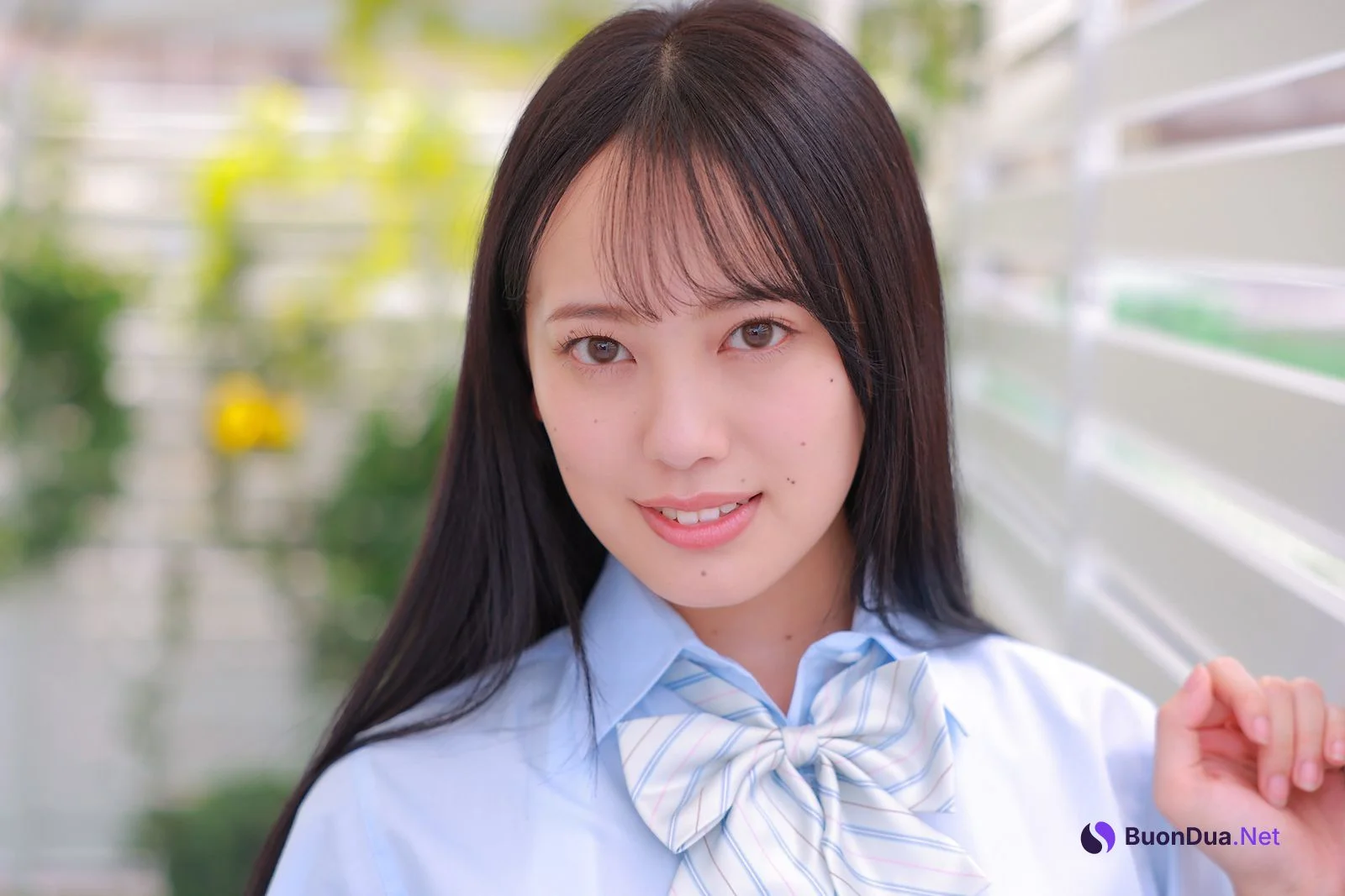 Sarina Kashiwagi 柏木さりな, [Minisuka.tv] 2022.08.25 Regular Gallery 9.1 - Photo 18
