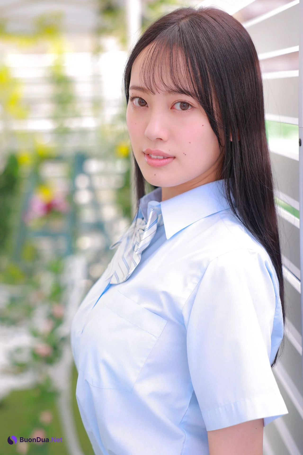 Sarina Kashiwagi 柏木さりな, [Minisuka.tv] 2022.08.25 Regular Gallery 9.1 - Photo 19