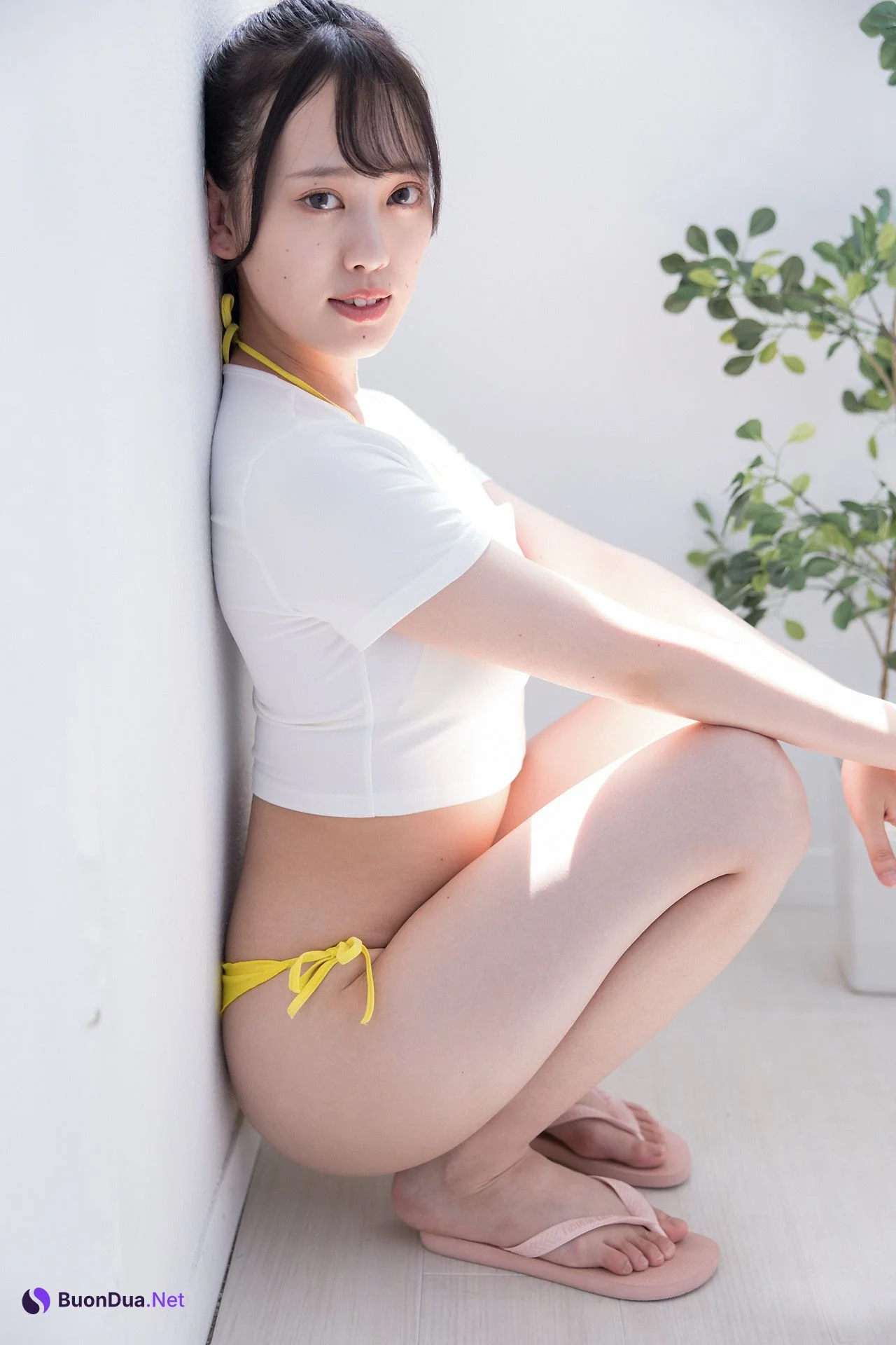 Sarina Kashiwagi 柏木さりな, [Minisuka.tv] 2022.11.17 Regular Gallery 10.4 - Photo 8