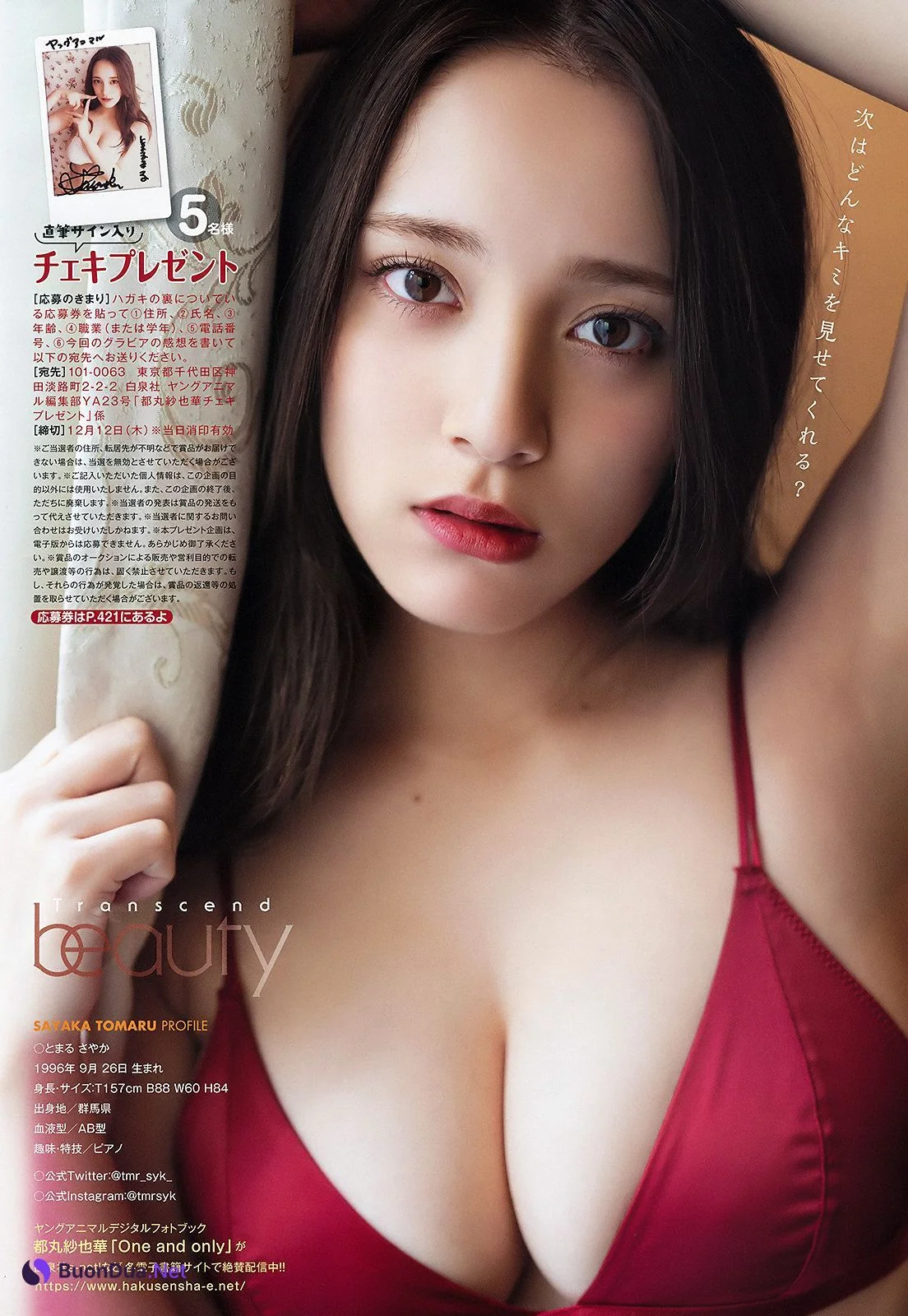 Sayaka Tomaru 都丸紗也華, Young Animal 2019 No.23 (ヤングアニマル 2019年23号) - 사진 8