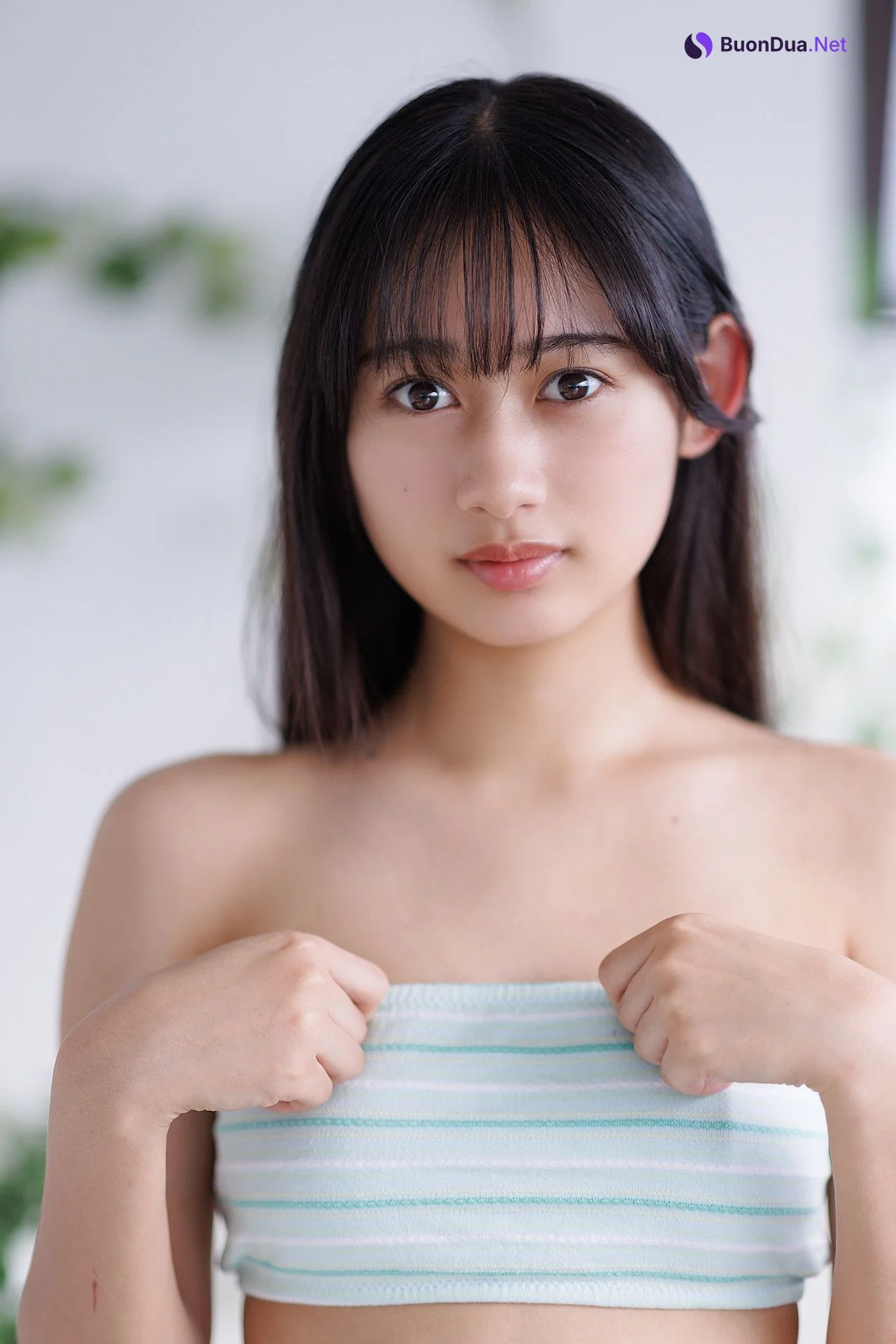 Seia Fujii 藤井星愛, [Minisuka.tv] 2024.02.15 Regular Gallery Set 5.3 - Photo 15