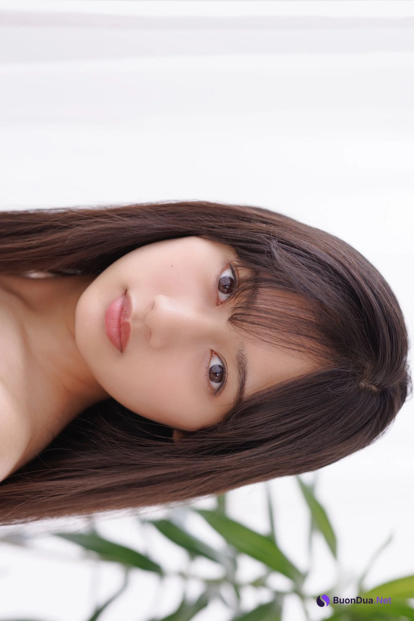 Seia Fujii 藤井星愛, Minisuka.tv [4k_l_seia_14] - Photo 15
