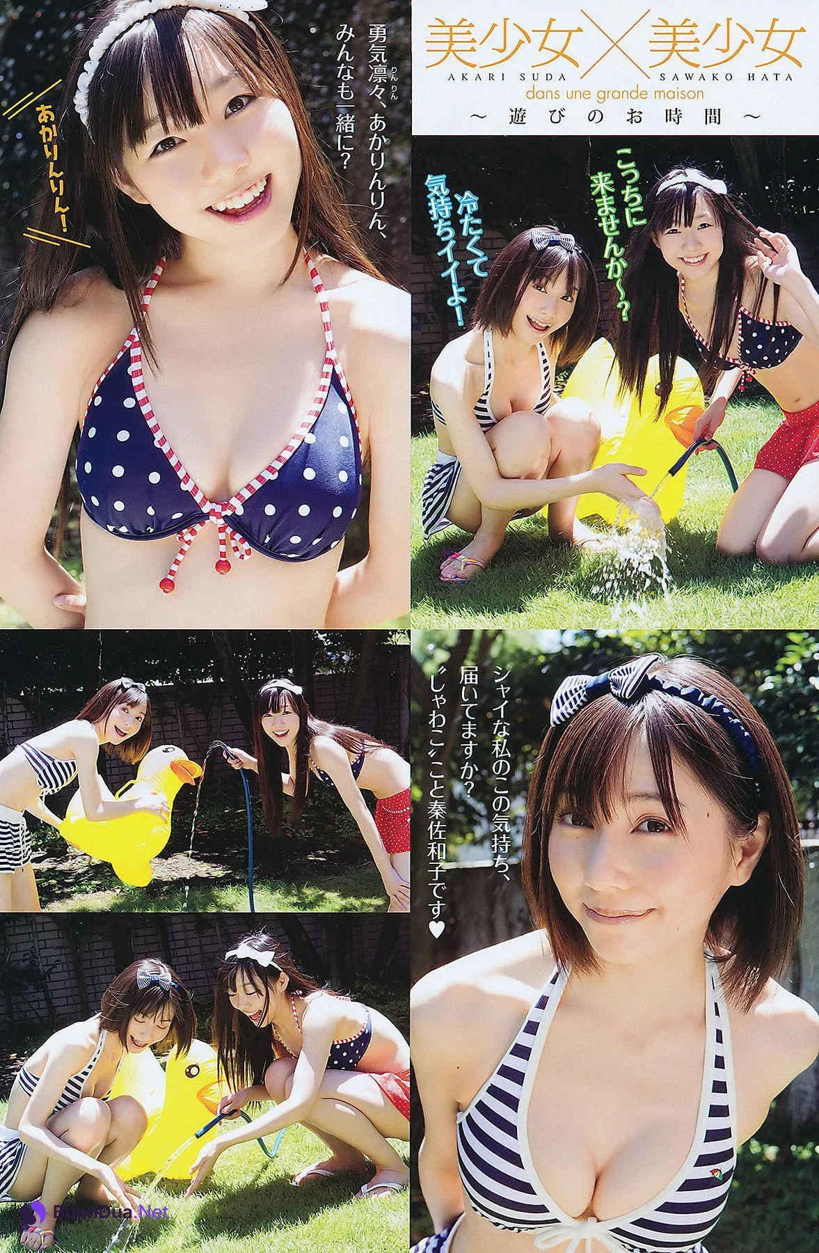 Seira Sato 佐藤聖羅, Young Animal 2011 No.16 (ヤングアニマル 2011年16号) - Photo 17