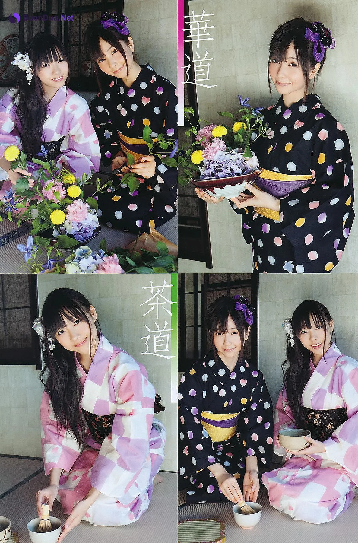Seira Sato 佐藤聖羅, Young Animal 2011 No.16 (ヤングアニマル 2011年16号) - Photo 20
