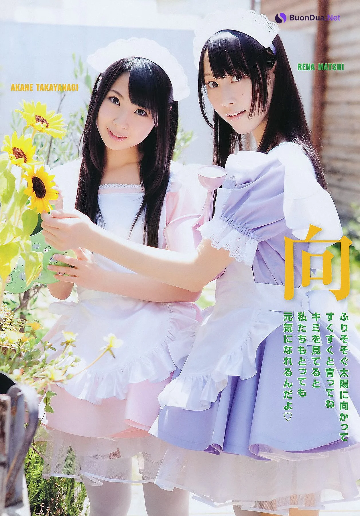 Seira Sato 佐藤聖羅, Young Animal 2011 No.16 (ヤングアニマル 2011年16号) - Photo 8