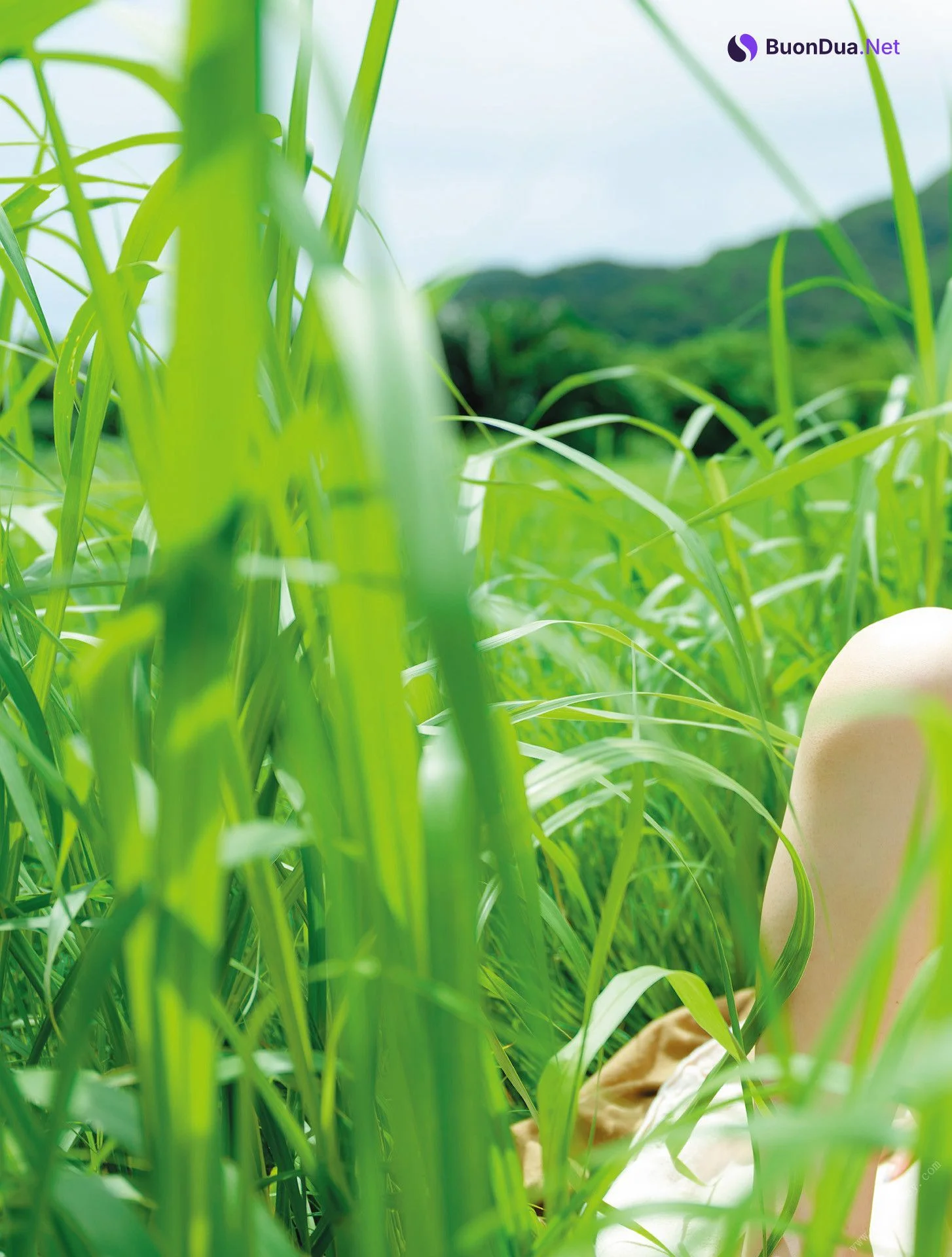 ＭＩＮＡＭＯ, ファースト写真集 アサ芸SEXY女優写真集 Set.01 - 写真 12