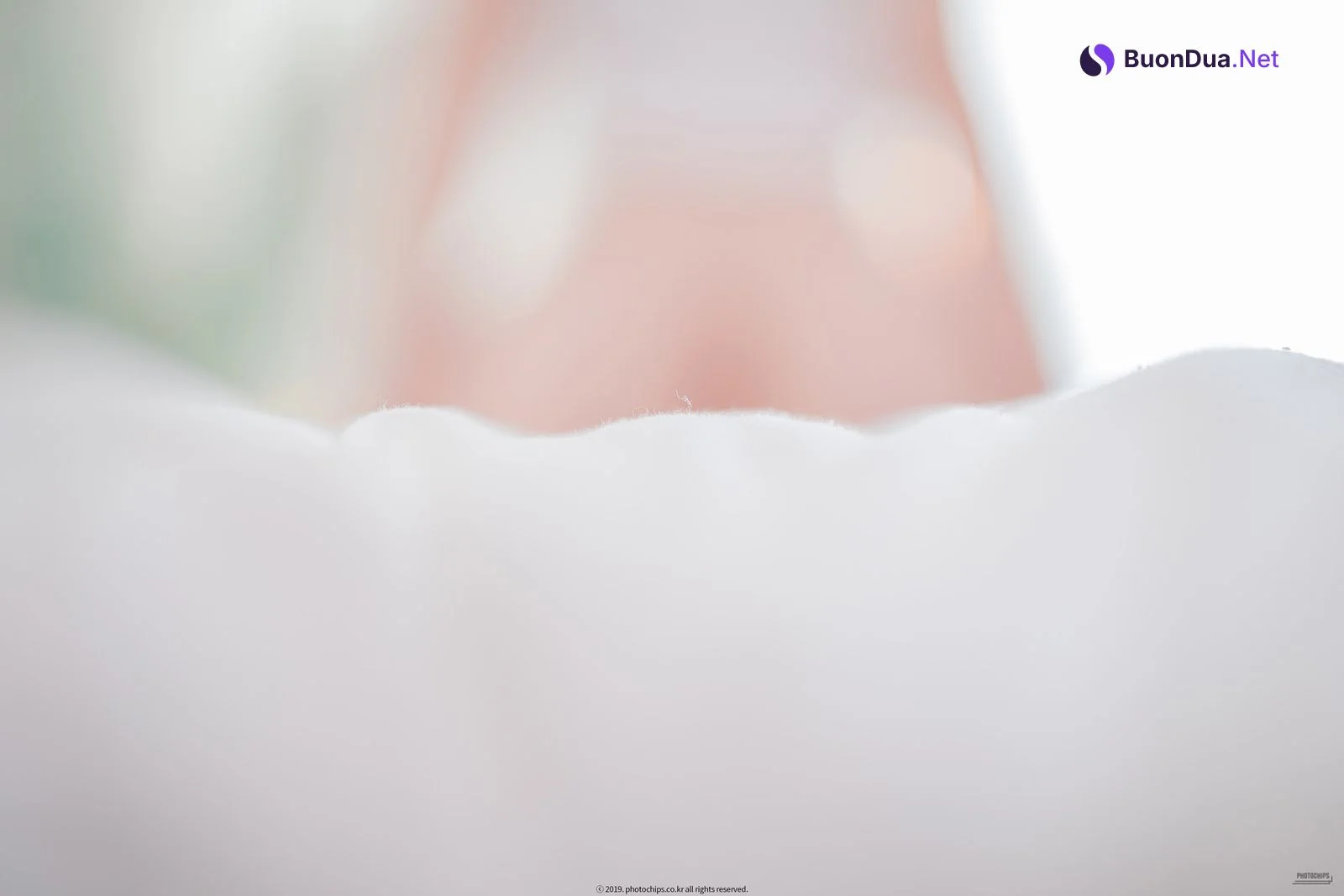 Shaany, [PhotoChips] Vol.61 - Photo 10