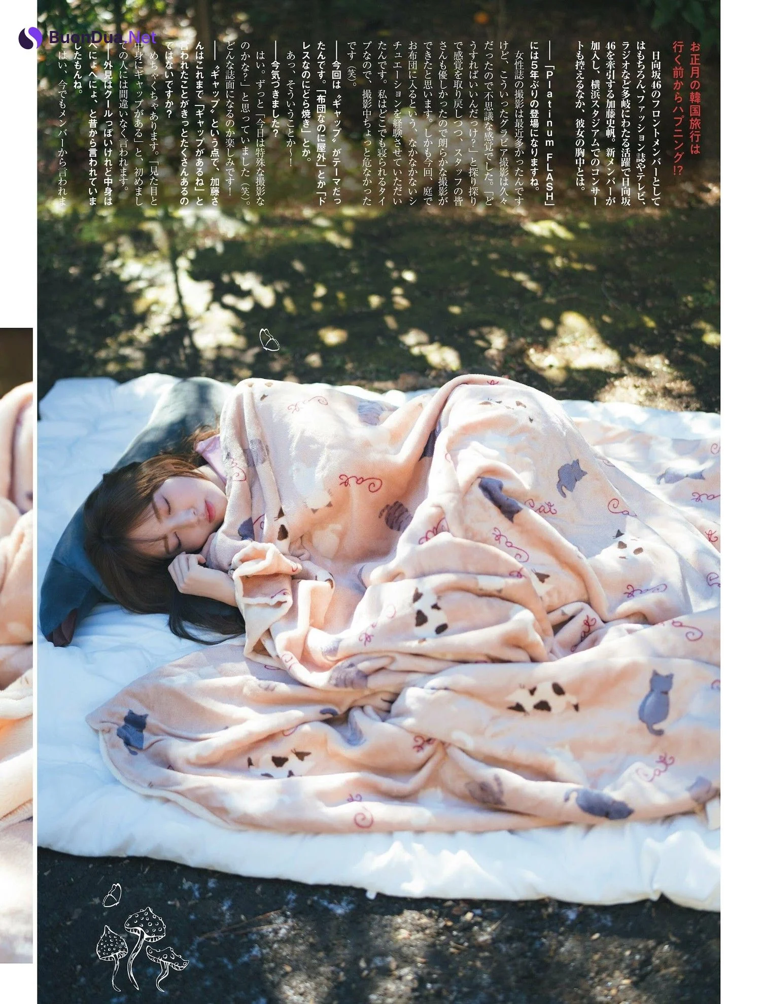 Shiho Kato 加藤史帆, PLATINUM FLASH 2023 VOL.21 - Photo 12
