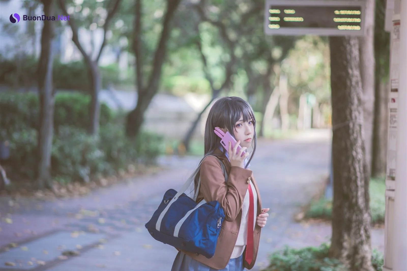 [Shika熾鹿] Mai Sakurajima 桜島麻衣 (青春ブタ野郎) - Photo 10