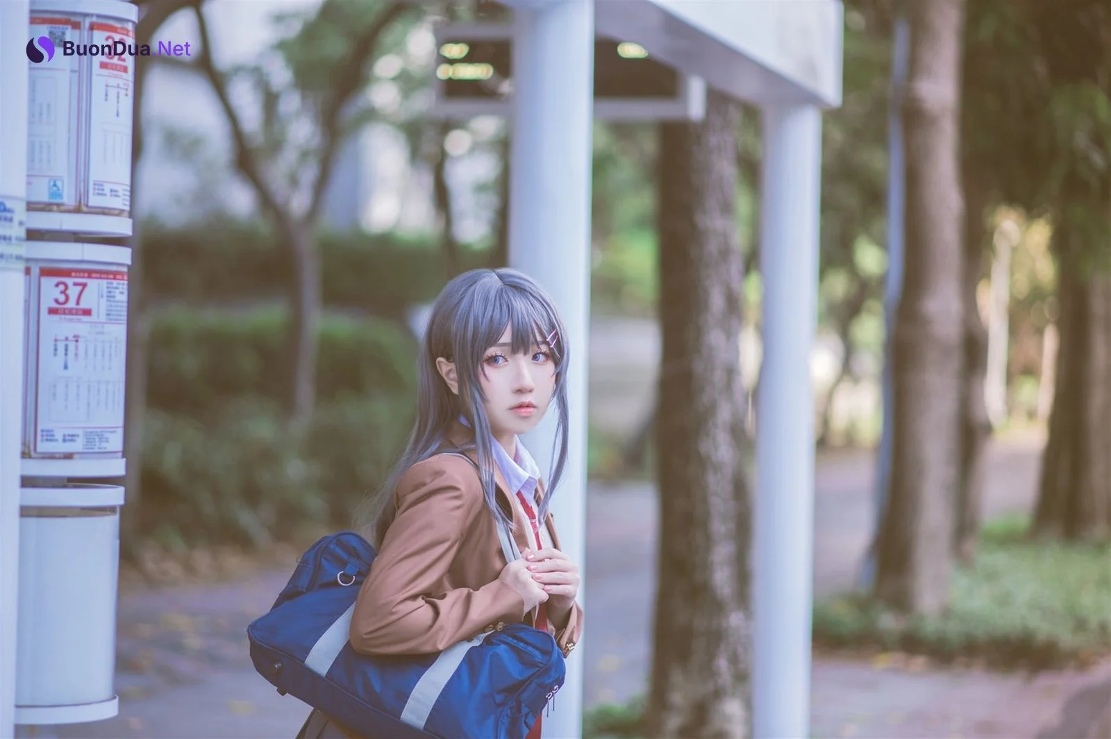 [Shika熾鹿] Mai Sakurajima 桜島麻衣 (青春ブタ野郎) - Photo 11