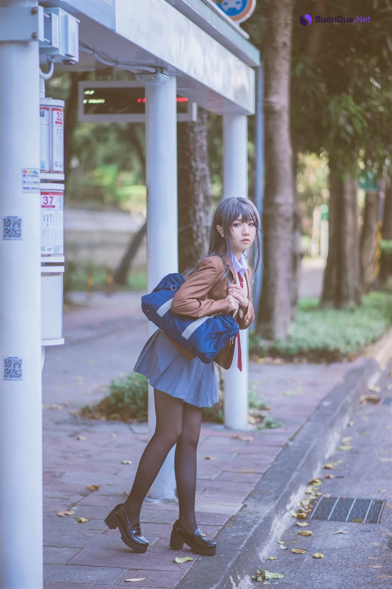 [Shika熾鹿] Mai Sakurajima 桜島麻衣 (青春ブタ野郎) - Photo 12