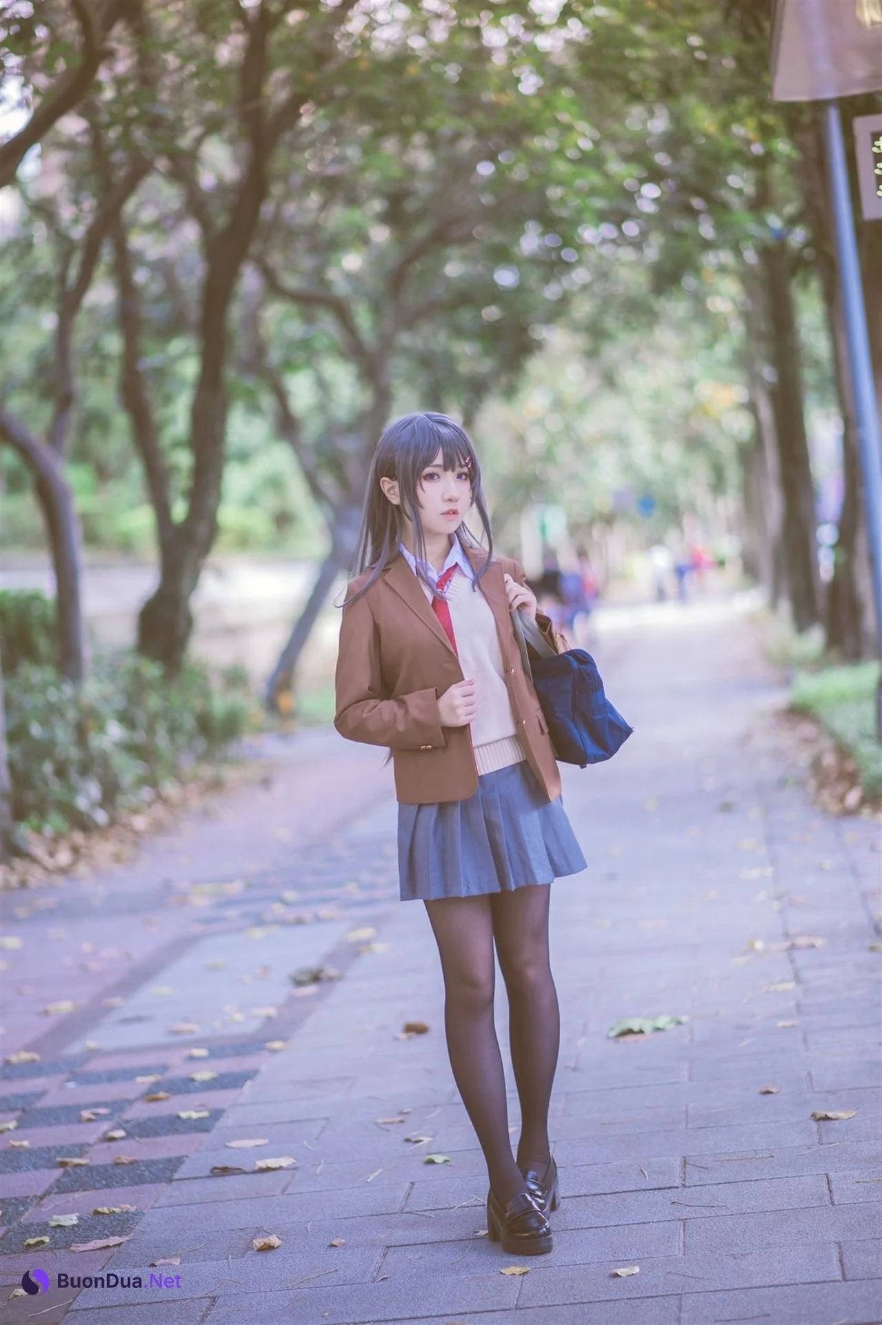 [Shika熾鹿] Mai Sakurajima 桜島麻衣 (青春ブタ野郎) - Photo 16