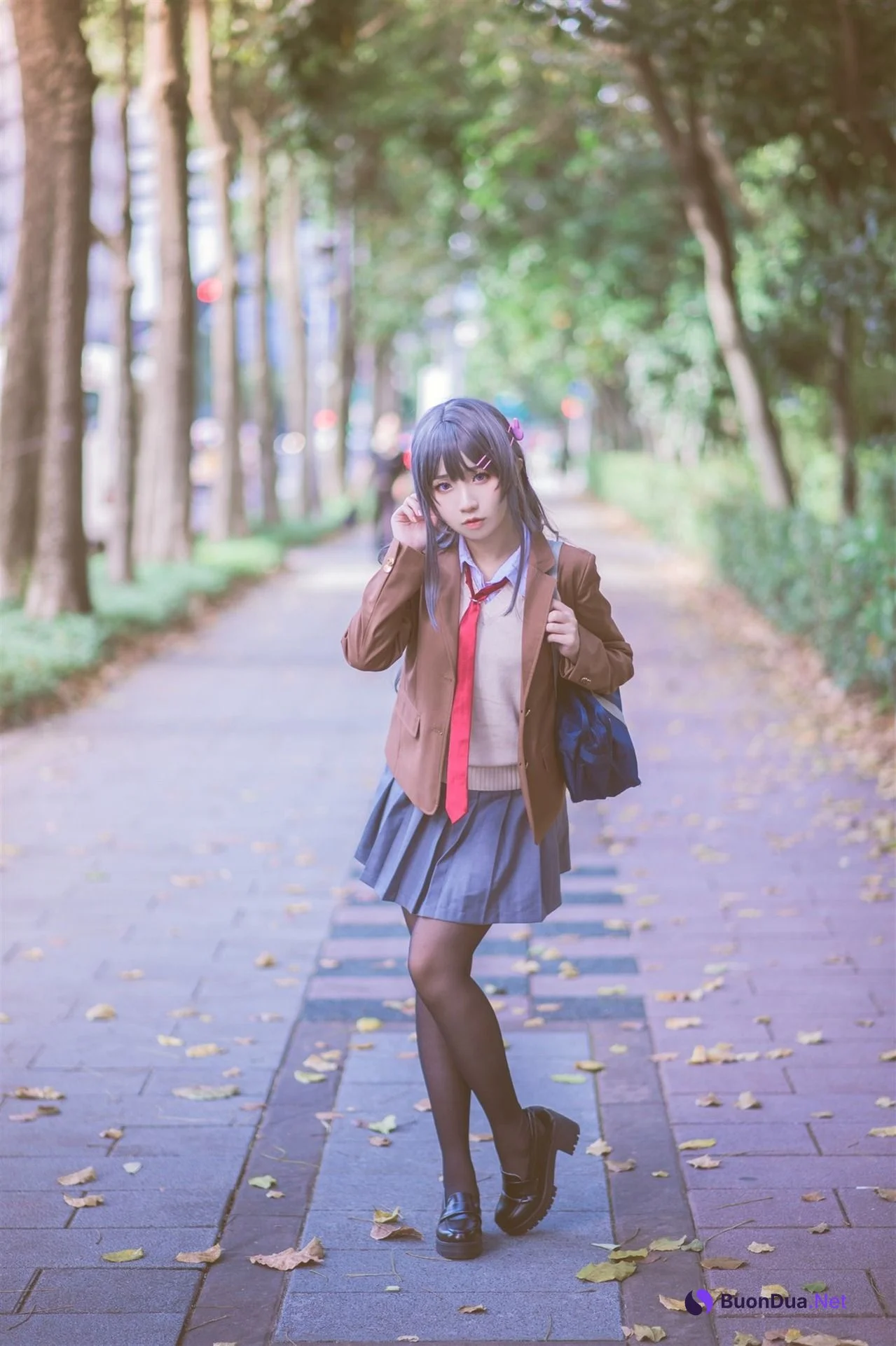 [Shika熾鹿] Mai Sakurajima 桜島麻衣 (青春ブタ野郎) - Photo 17