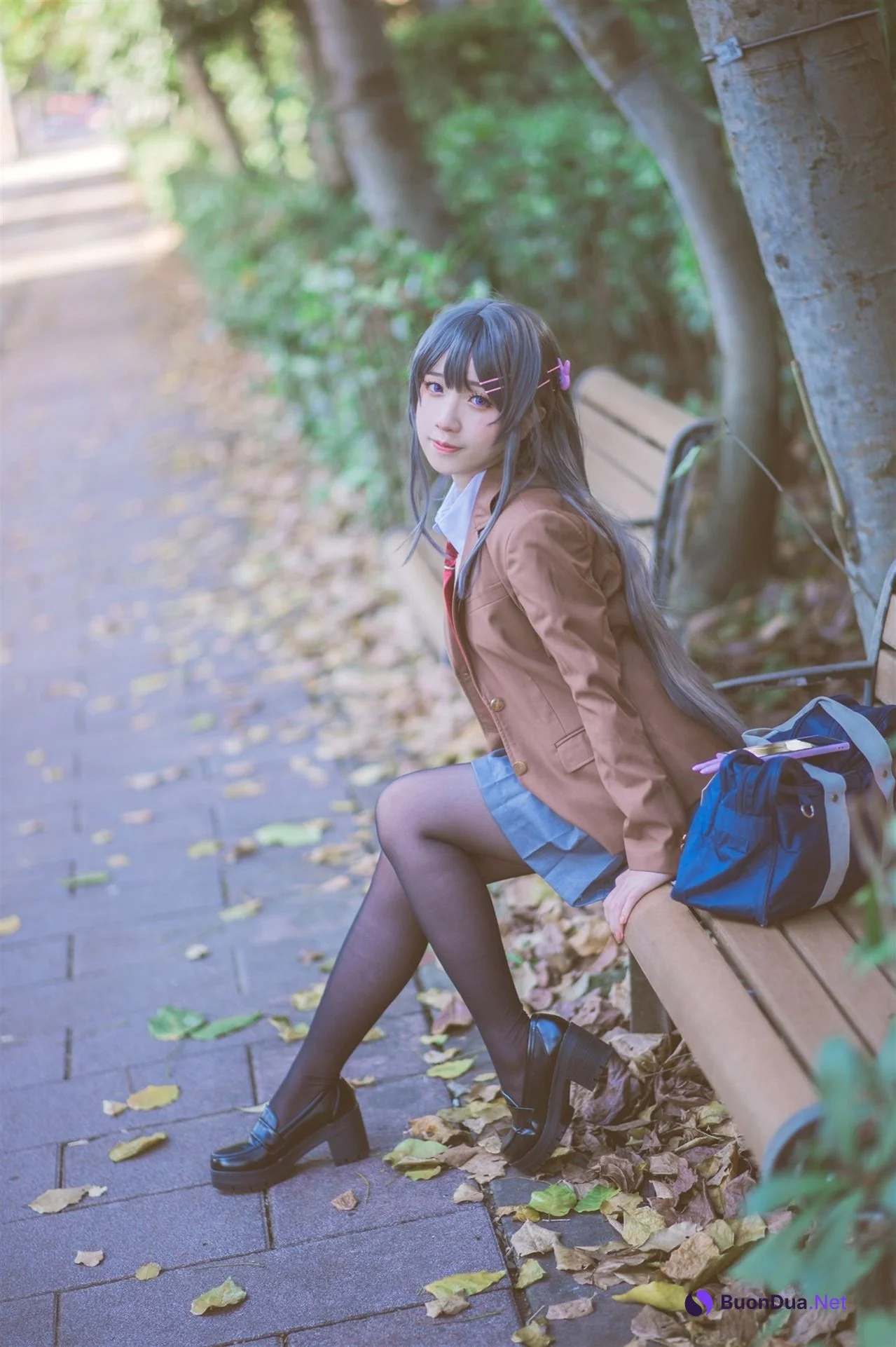 [Shika熾鹿] Mai Sakurajima 桜島麻衣 (青春ブタ野郎) - Photo 5