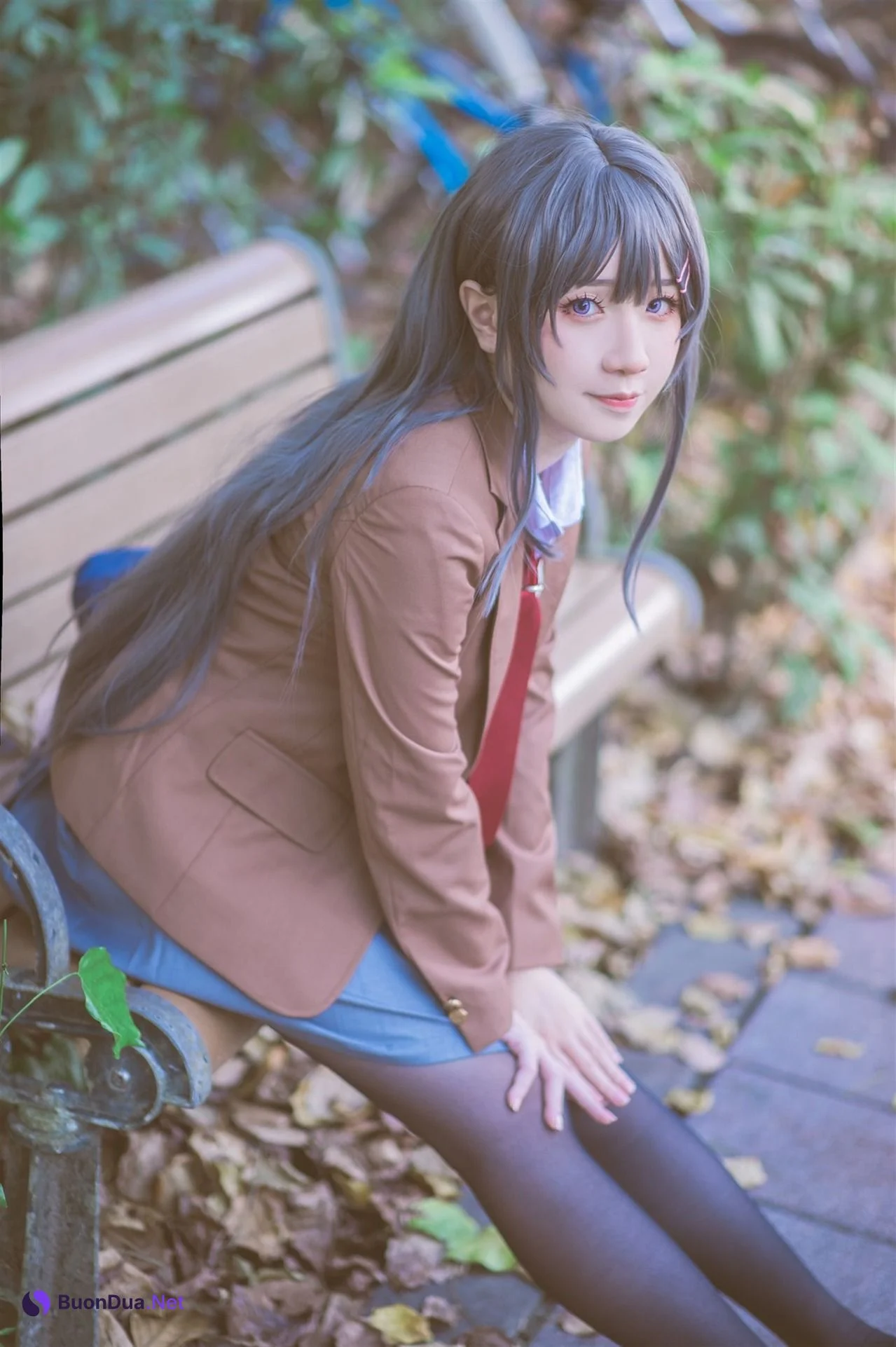 [Shika熾鹿] Mai Sakurajima 桜島麻衣 (青春ブタ野郎) - Photo 6