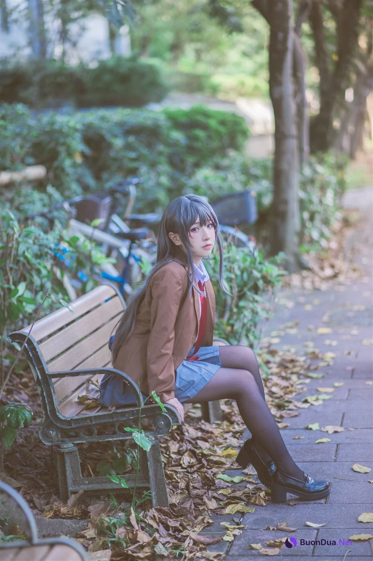 [Shika熾鹿] Mai Sakurajima 桜島麻衣 (青春ブタ野郎) - Photo 8
