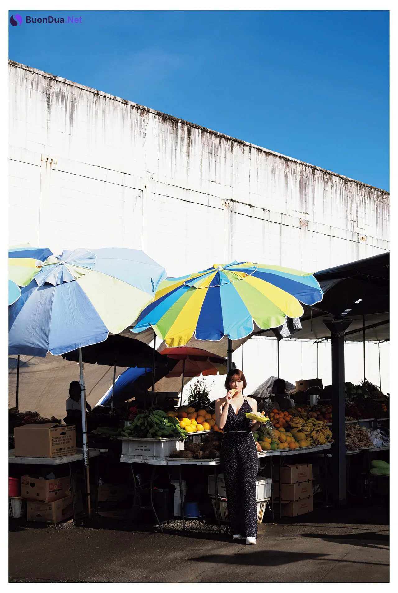 Sho Nishino 西野翔, 退ラスト写真集 [Lele] Set.02 - Photo 2