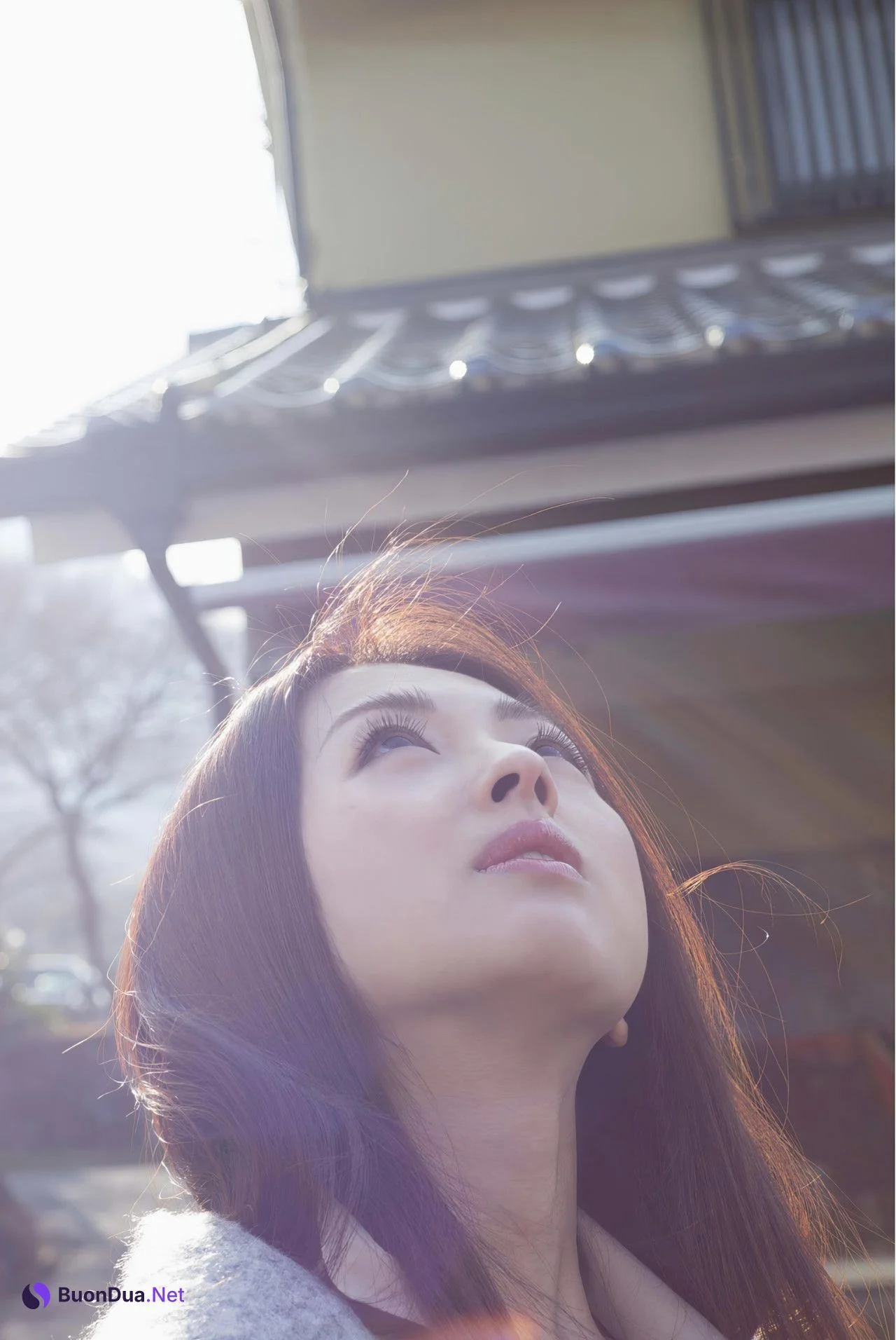 Shoko 祥子, デジタル写真集 [椿] Set.01 - Photo 3