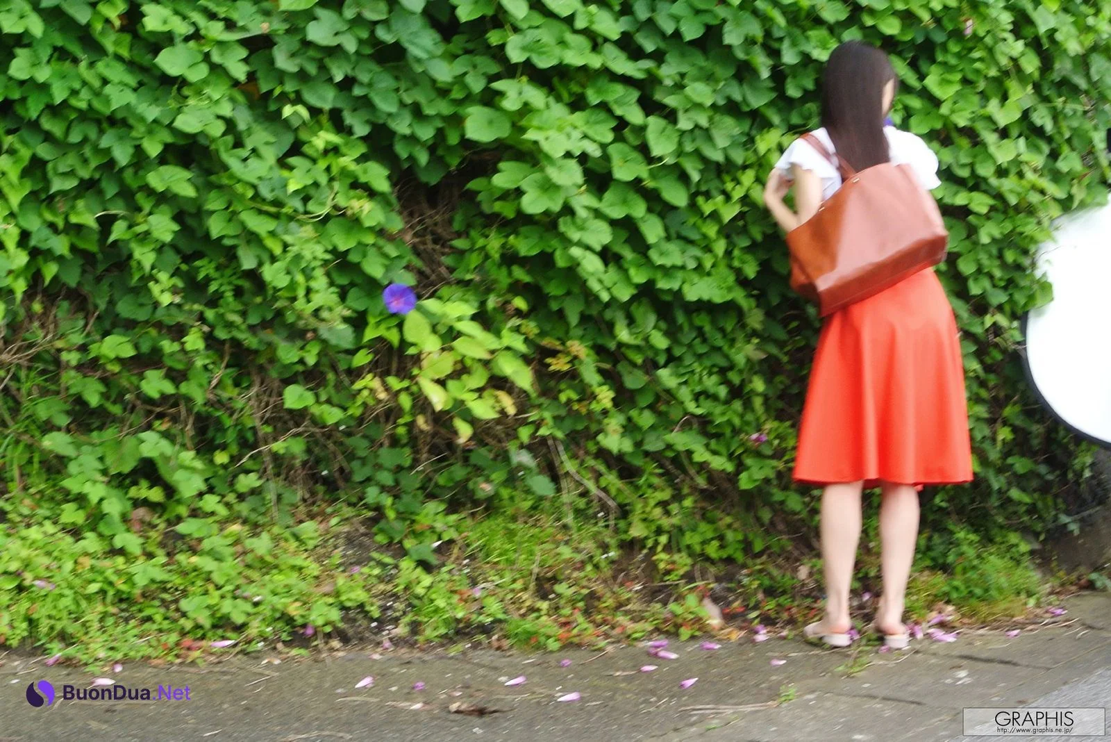 Shoko Takahashi 高橋しょう子, [Graphis] Summer Special [TAKASHO] Set.01 - Photo 5