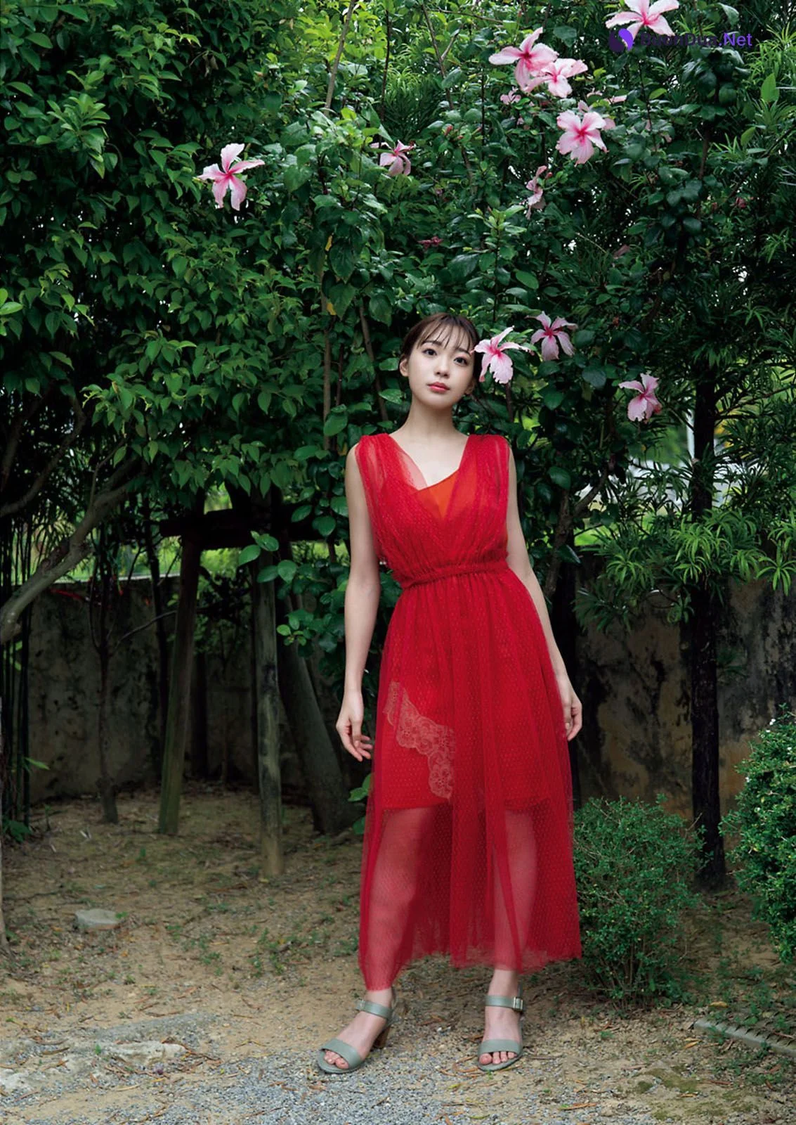 Shuka Saito 斉藤朱夏, Big Comic Spirits 2020 No.52 (ビッグコミックスピリッツ 2020年52号) - Photo 4