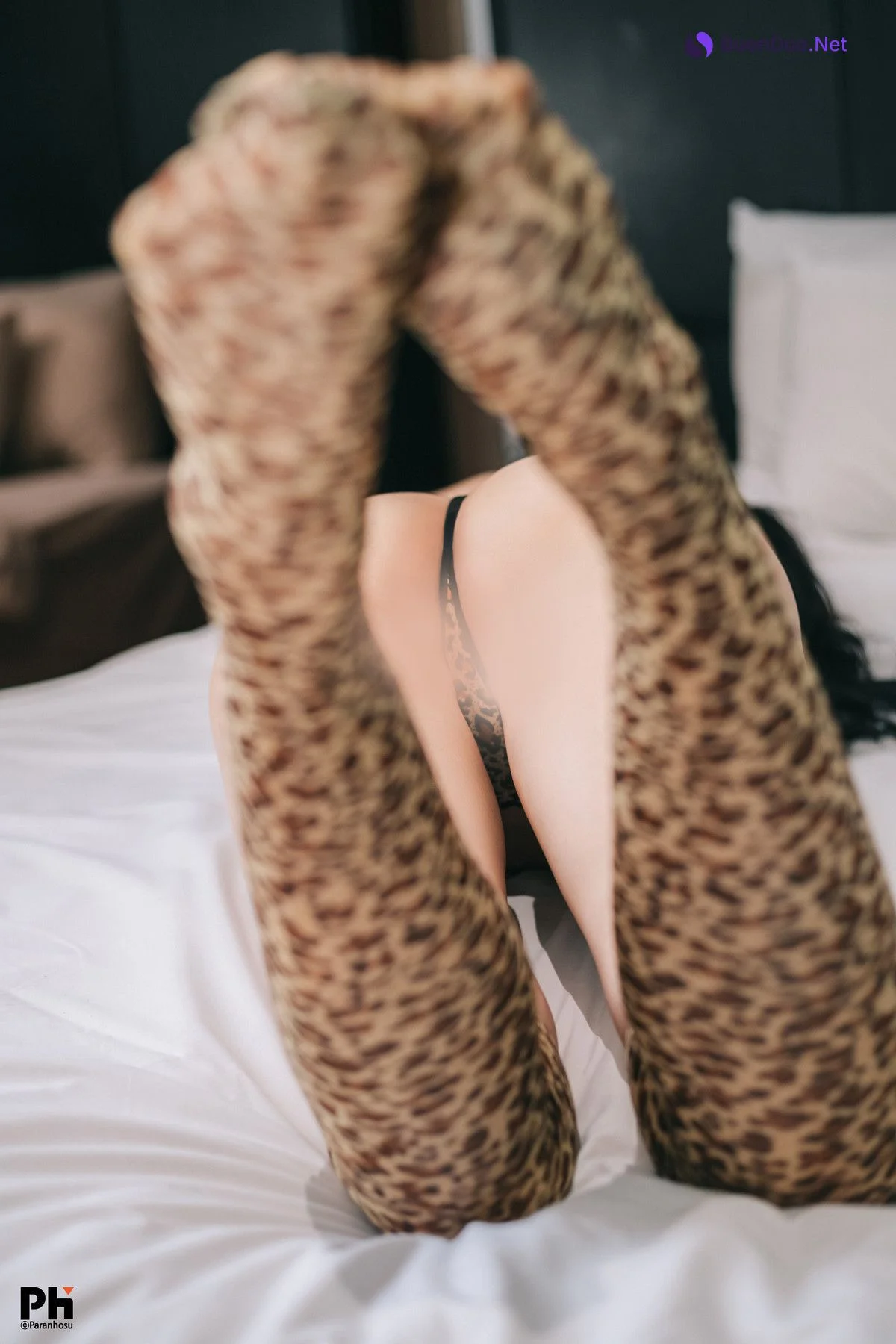 Sia 시아, [Paranhosu] Leopard - รูปภาพ 16