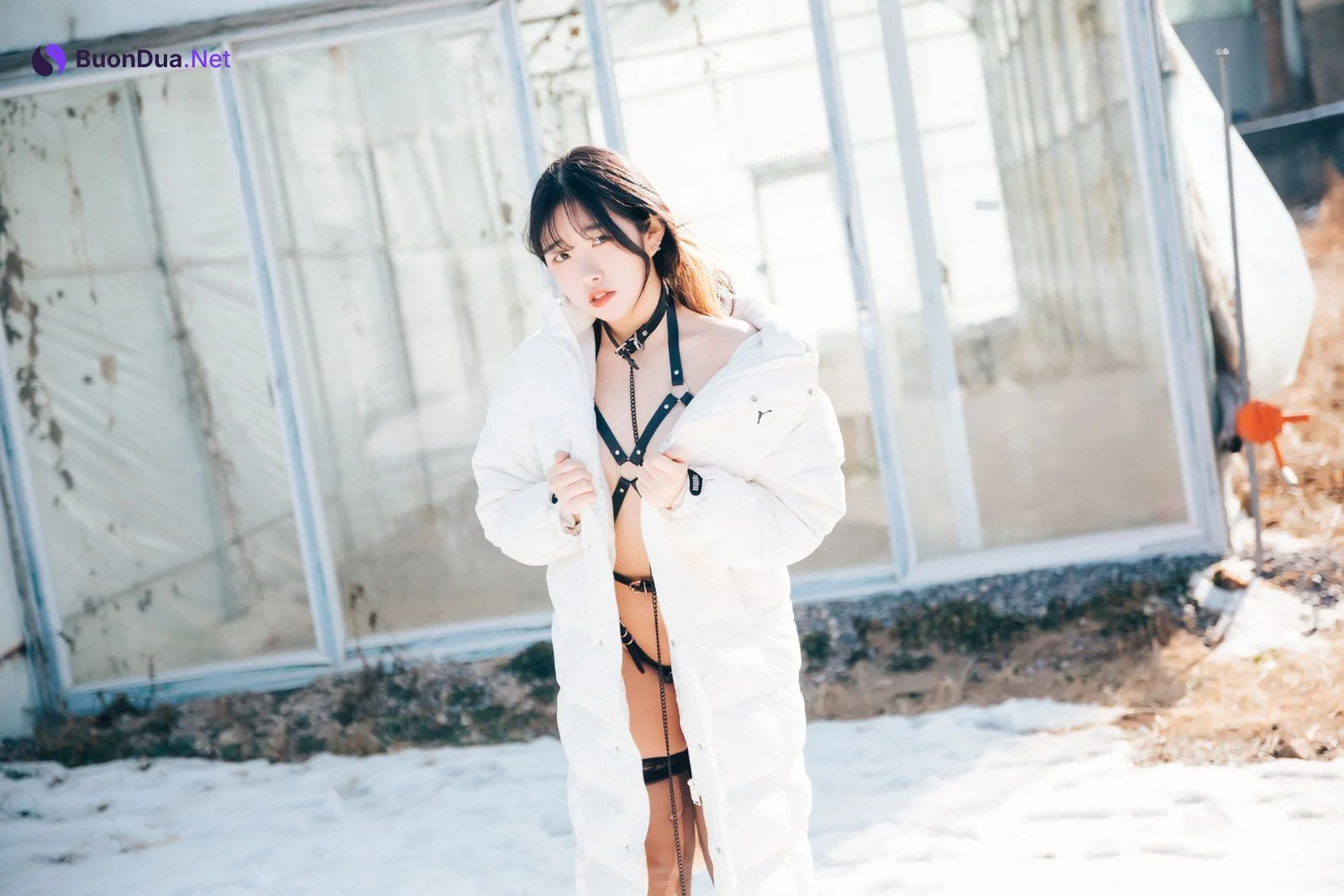 Sonson 손손, [Loozy] Dog Plays Set.02 - Photo 2