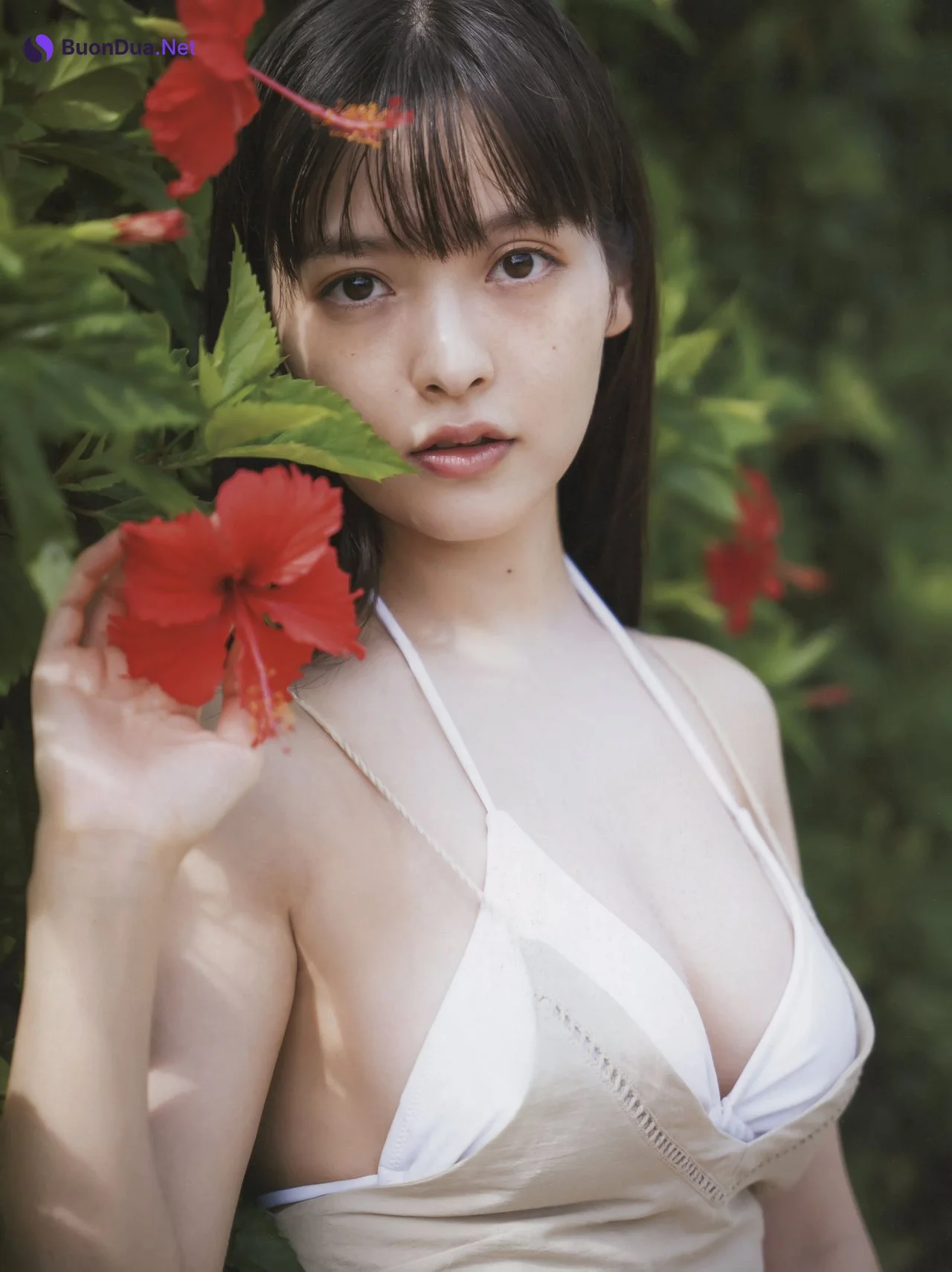 Sumire Uesaka 上坂すみれ, 2nd写真集 「すみれのゆめ」 Set.01 - รูปภาพ 16