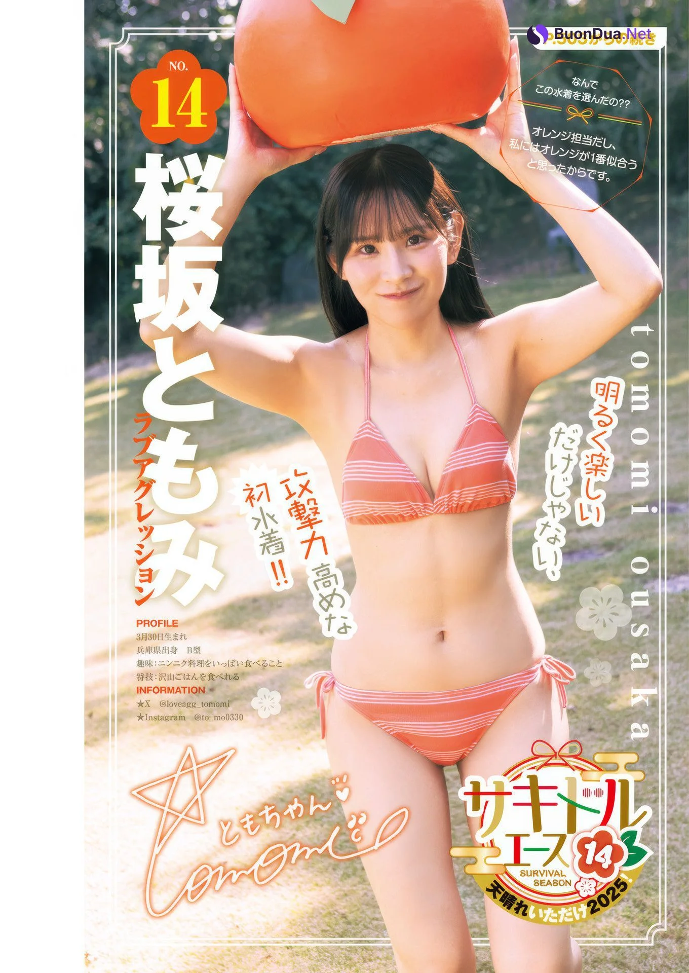 サキドルエース SURVIVAL SEASON14, Young Jump 2025 No.07 (ヤングジャンプ 2025年7号) - Photo 17