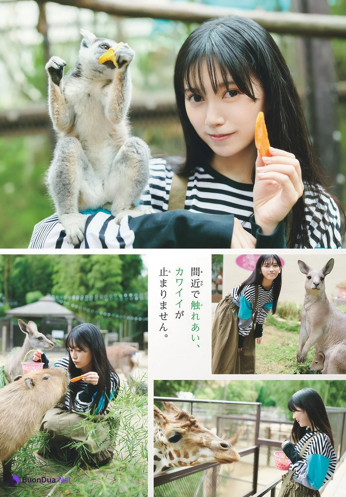 Teresa Ikeda 池田瑛紗, Shonen Sunday 2024 No.51 (週刊少年サンデー 2024年51号) - Photo 4