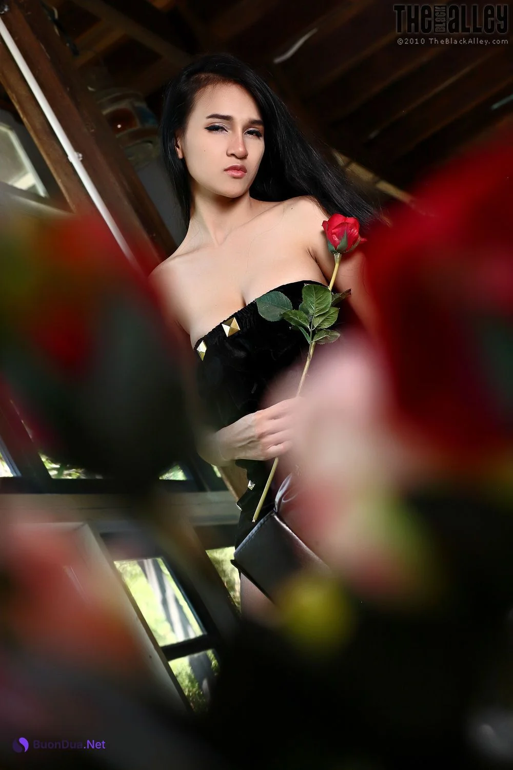 [The Black Alley] Ginny Set.12 2017.12.05 - Photo 12