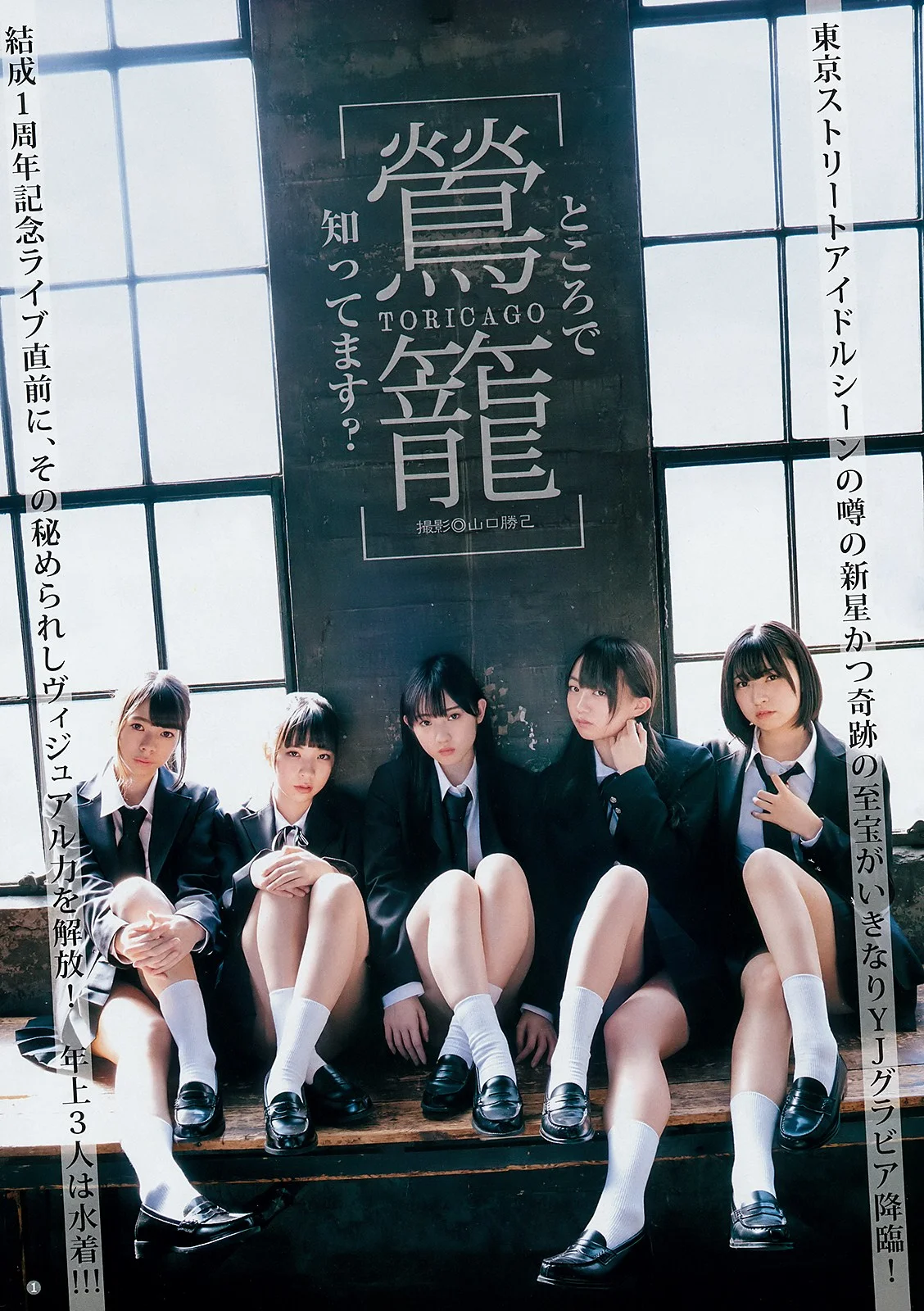 TORICAGO 鶯籠, Young Jump 2019 No.13 (ヤングジャンプ 2019年13号)