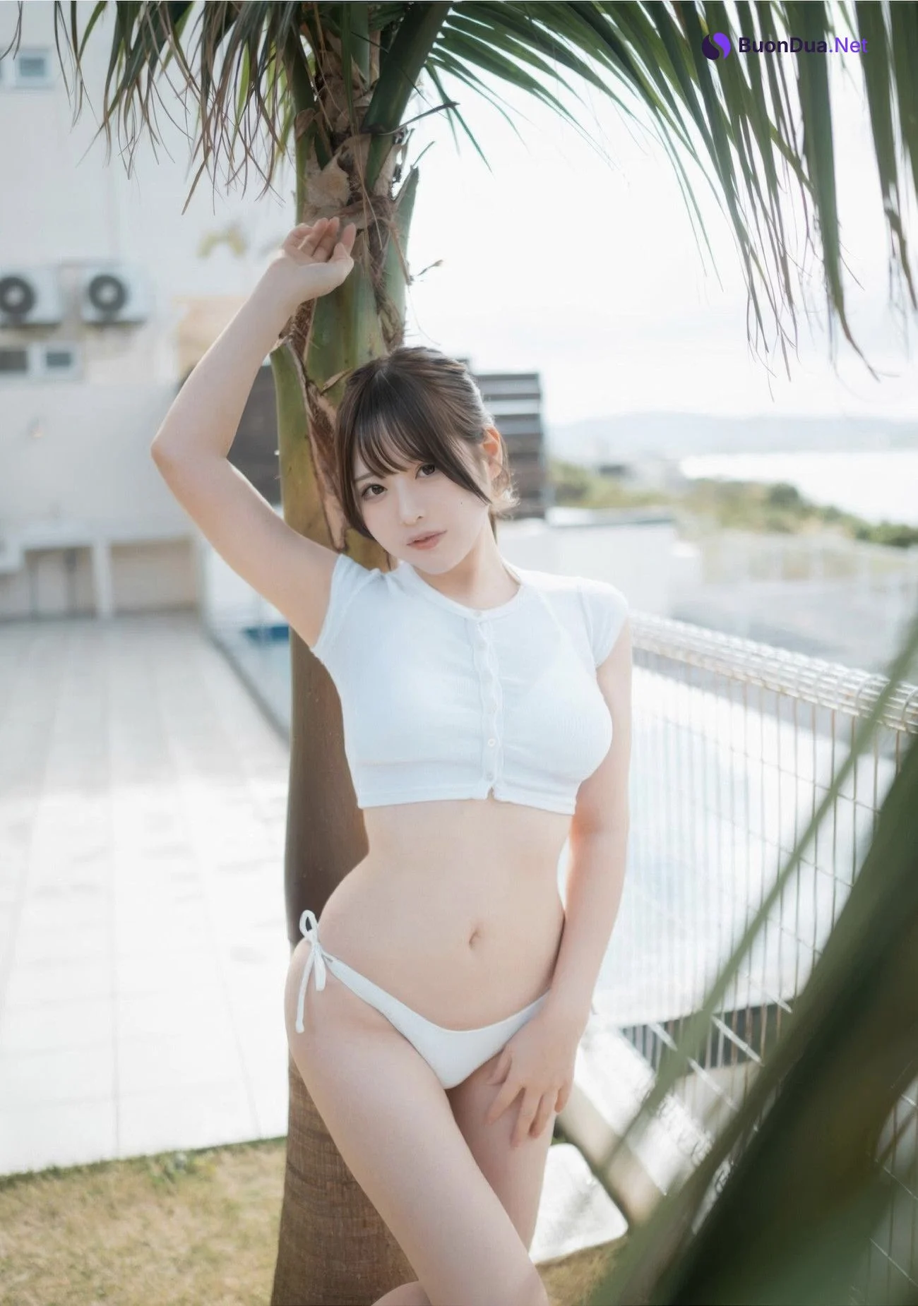 Tsukumo Pate 九十九ぱて, 1st e-book Wunder Publishing House [こっちにきて？] Set.03 - Photo 2