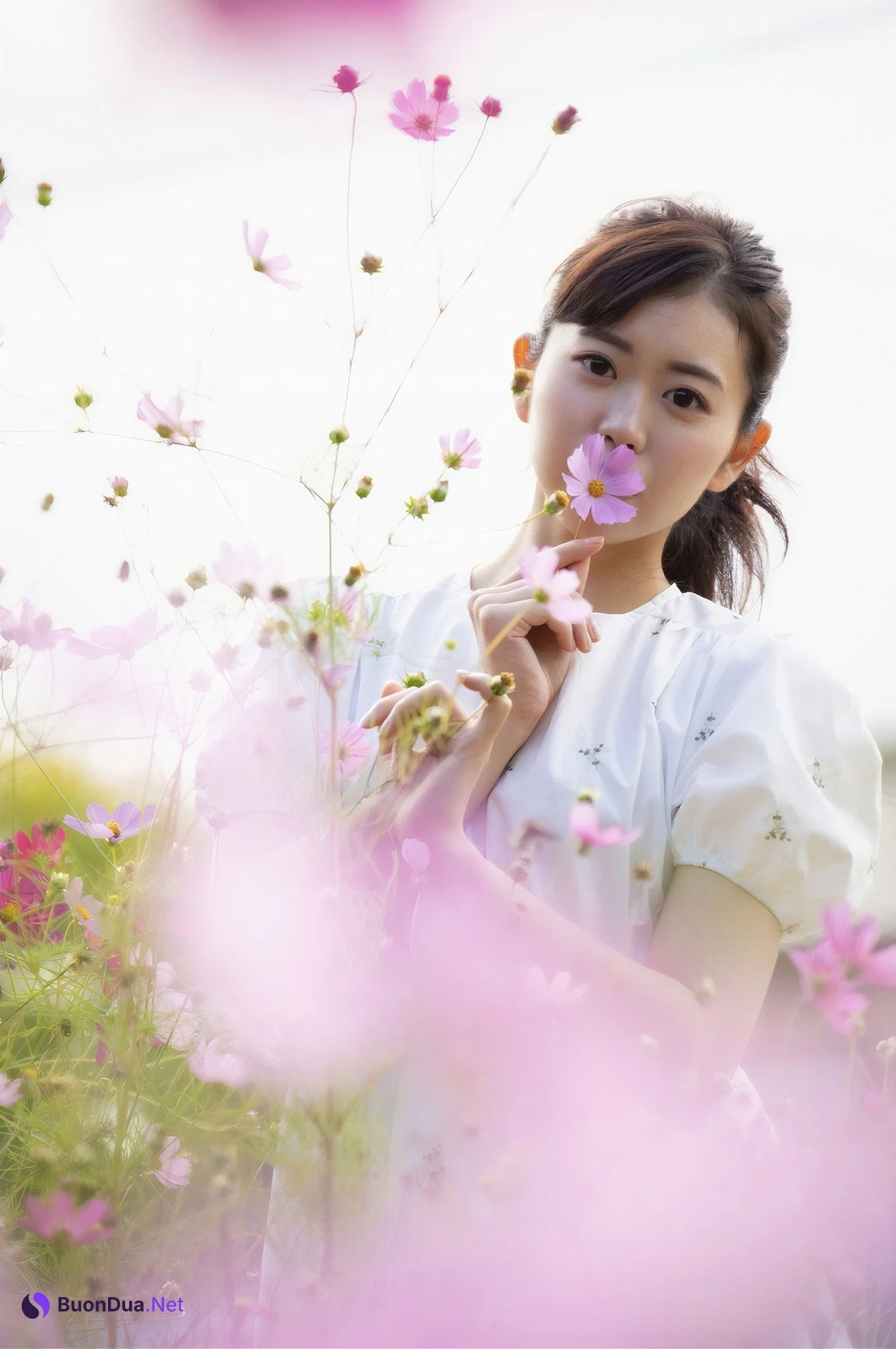 宮村ななこ・倉多まお, プレステージ出版 ヒストリーコレクション Vol.05 - รูปภาพ 8
