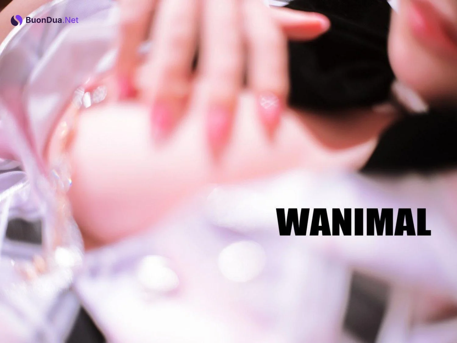 [WANIMAL王動系列] 2019年01月 VIP大尺度寫真1 - Photo 17