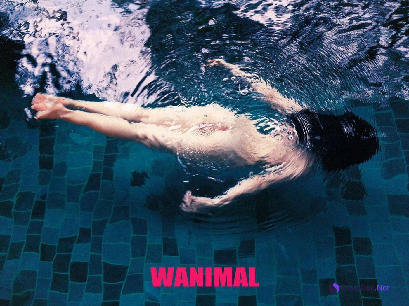 [WANIMAL王動系列] 2019.03月 VIP大尺度寫真4 - Photo 2