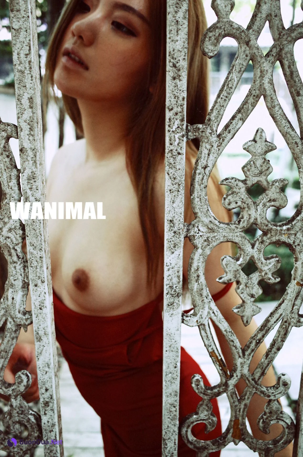 [WANIMAL王動系列] Tumblr博客寫真作品 Set.26 - Photo 5