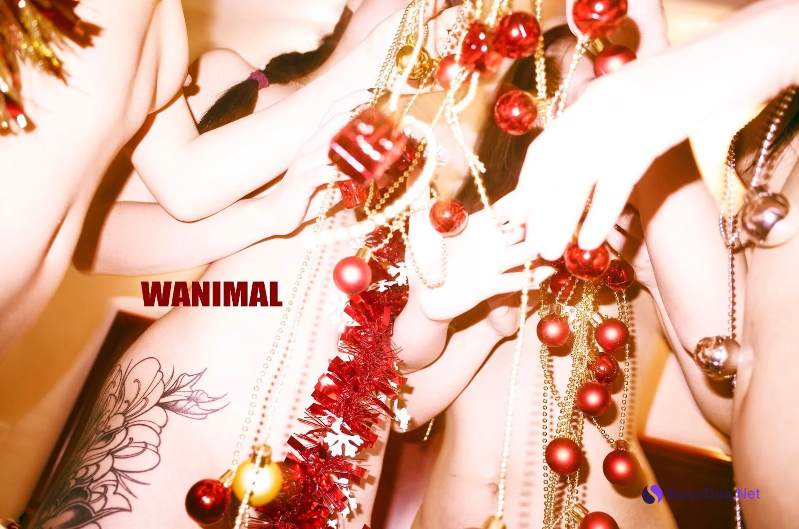 [WANIMAL王动] VIP套图 官方出品 No.06 - Photo 10