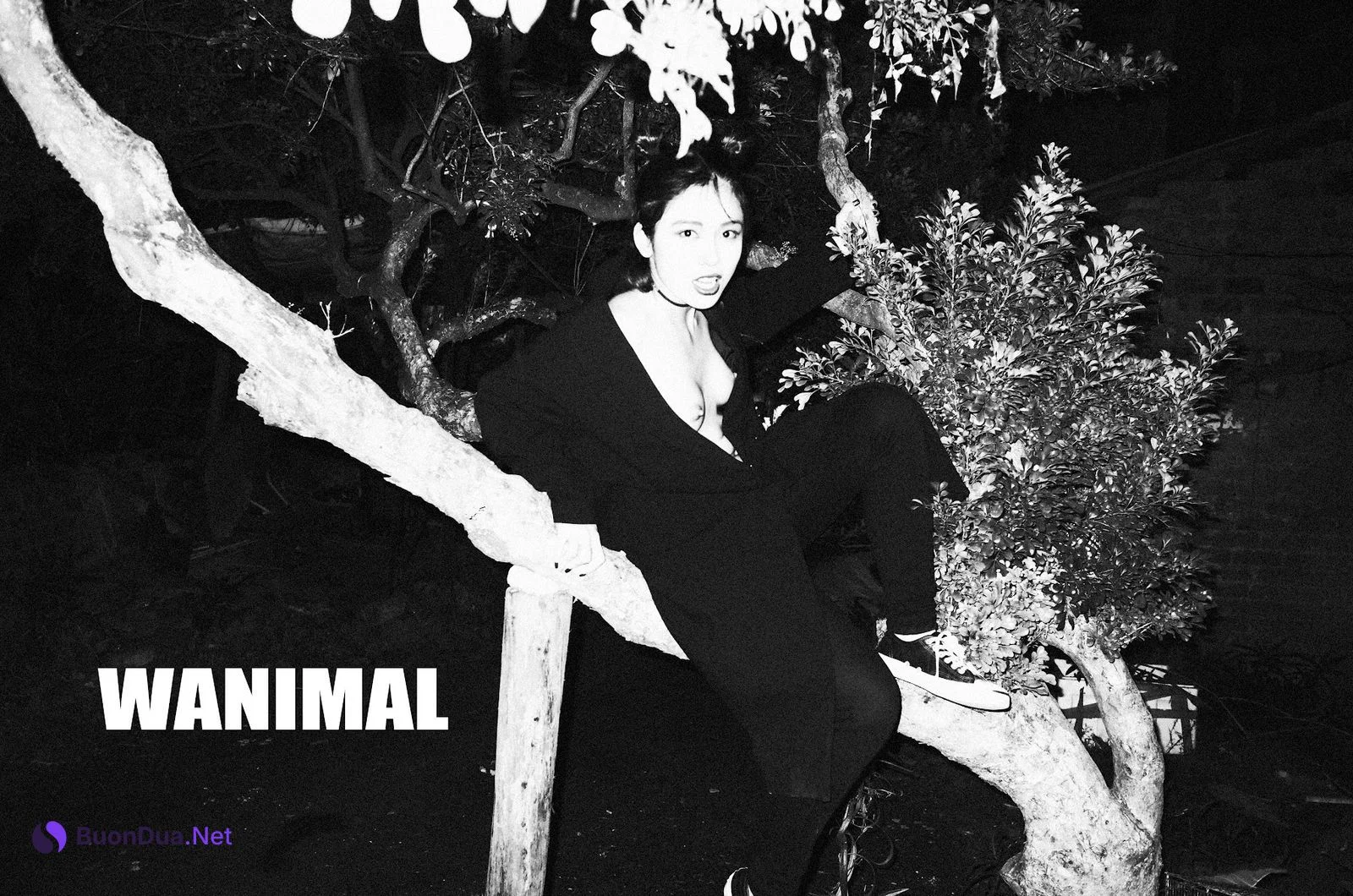[WANIMAL王动] VIP套图 官方出品 No.08 - รูปภาพ 2