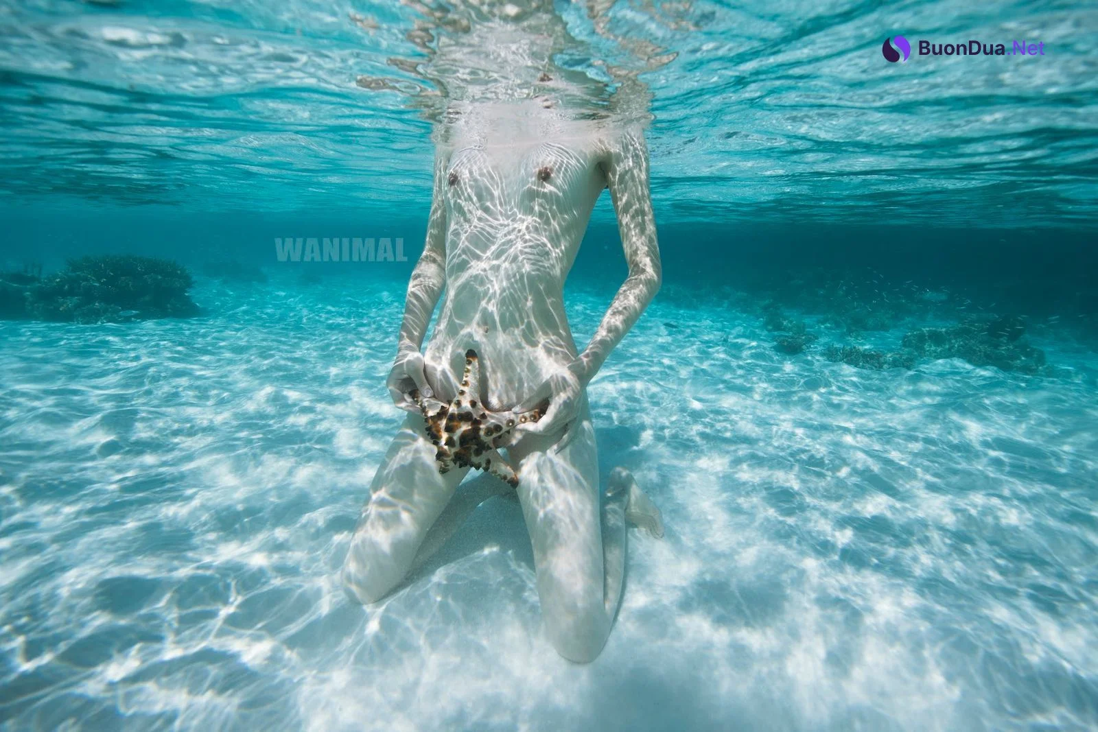 [WANIMAL王动] VIP套图 官方出品 No.09 - รูปภาพ 7