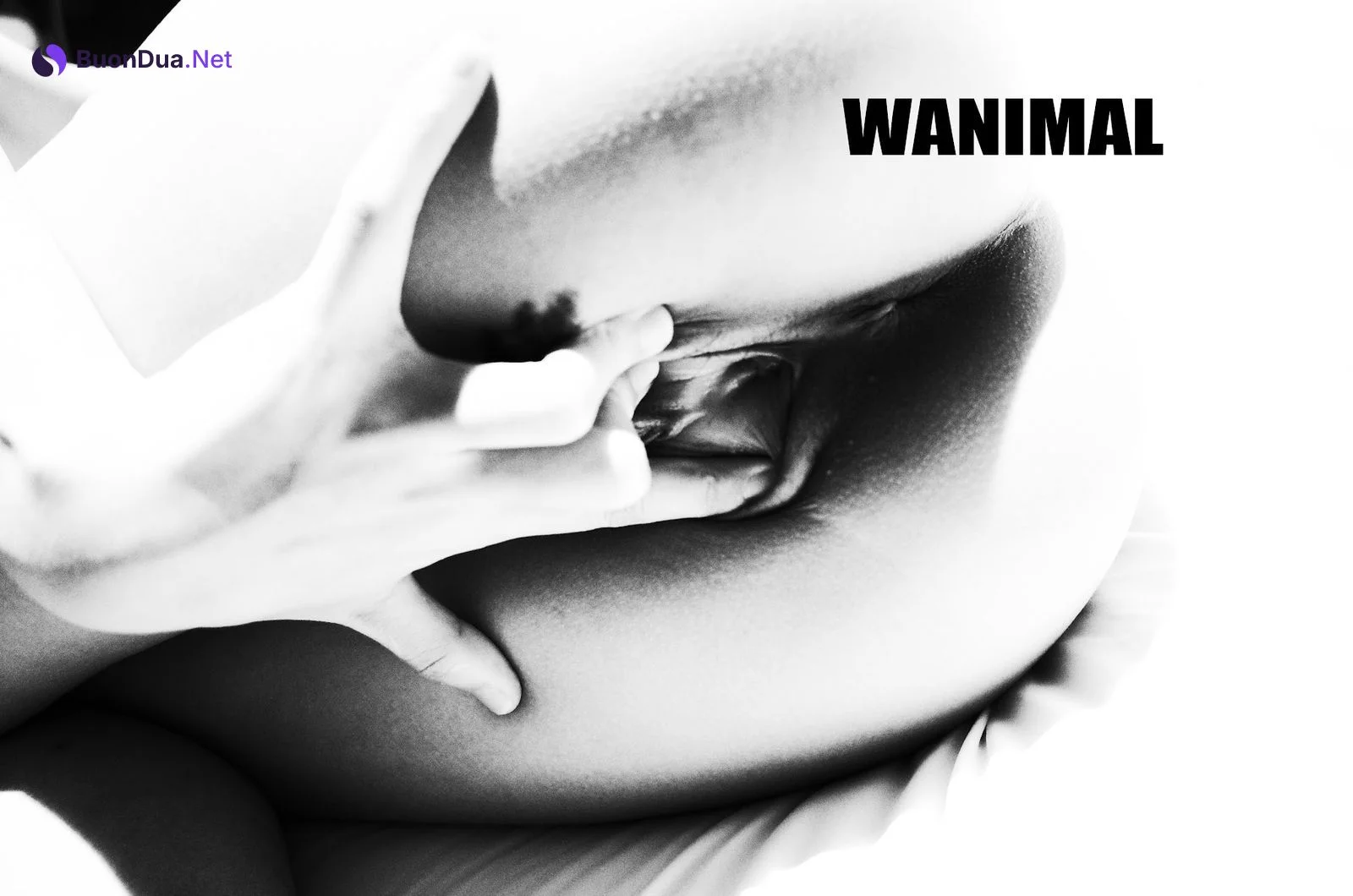 [WANIMAL王动] VIP套图 官方出品 No.11 - Photo 14