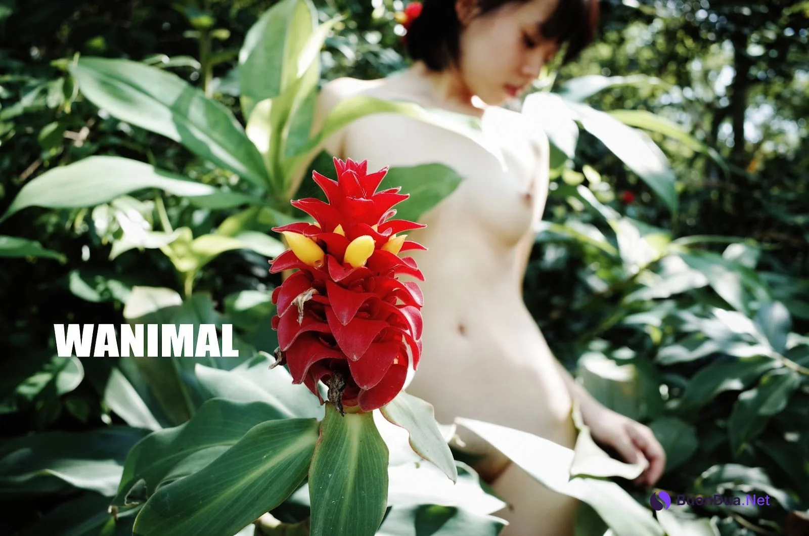 [WANIMAL王动] VIP套图 官方出品 No.11 - Photo 7