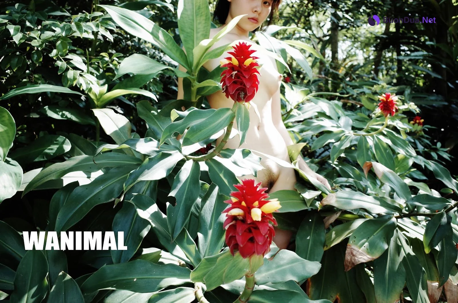 [WANIMAL王动] VIP套图 官方出品 No.11 - Photo 8