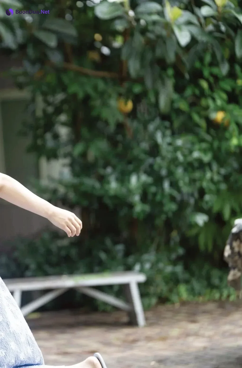 福井梨莉華 澄田綾乃 橋本梨菜, Weekly Pocket ENTAME 2025.10.30 - Photo 6